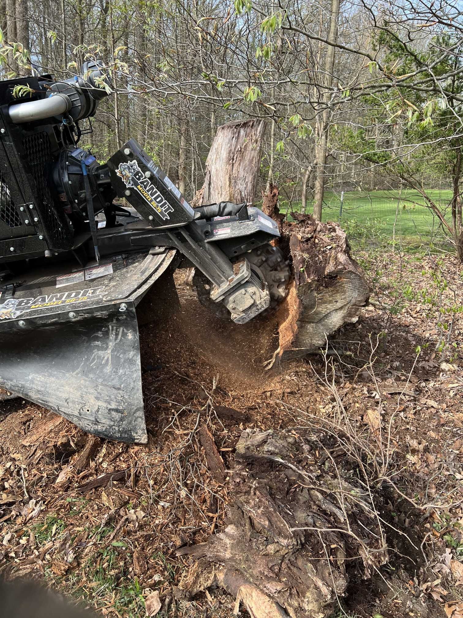 A machine is stump grinding a tree stump in the woods.