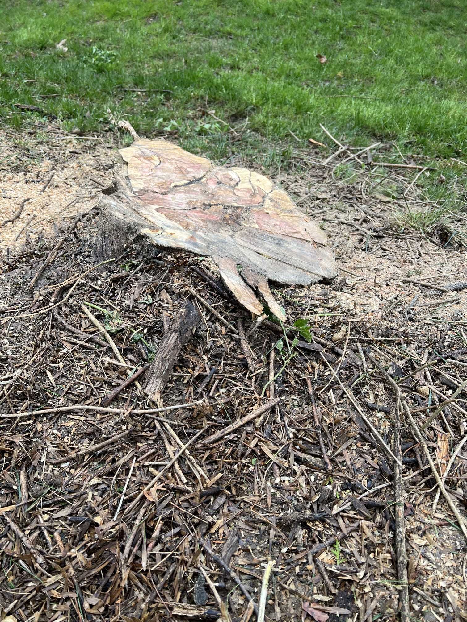 A large piece of wood is laying on the ground in a field.
