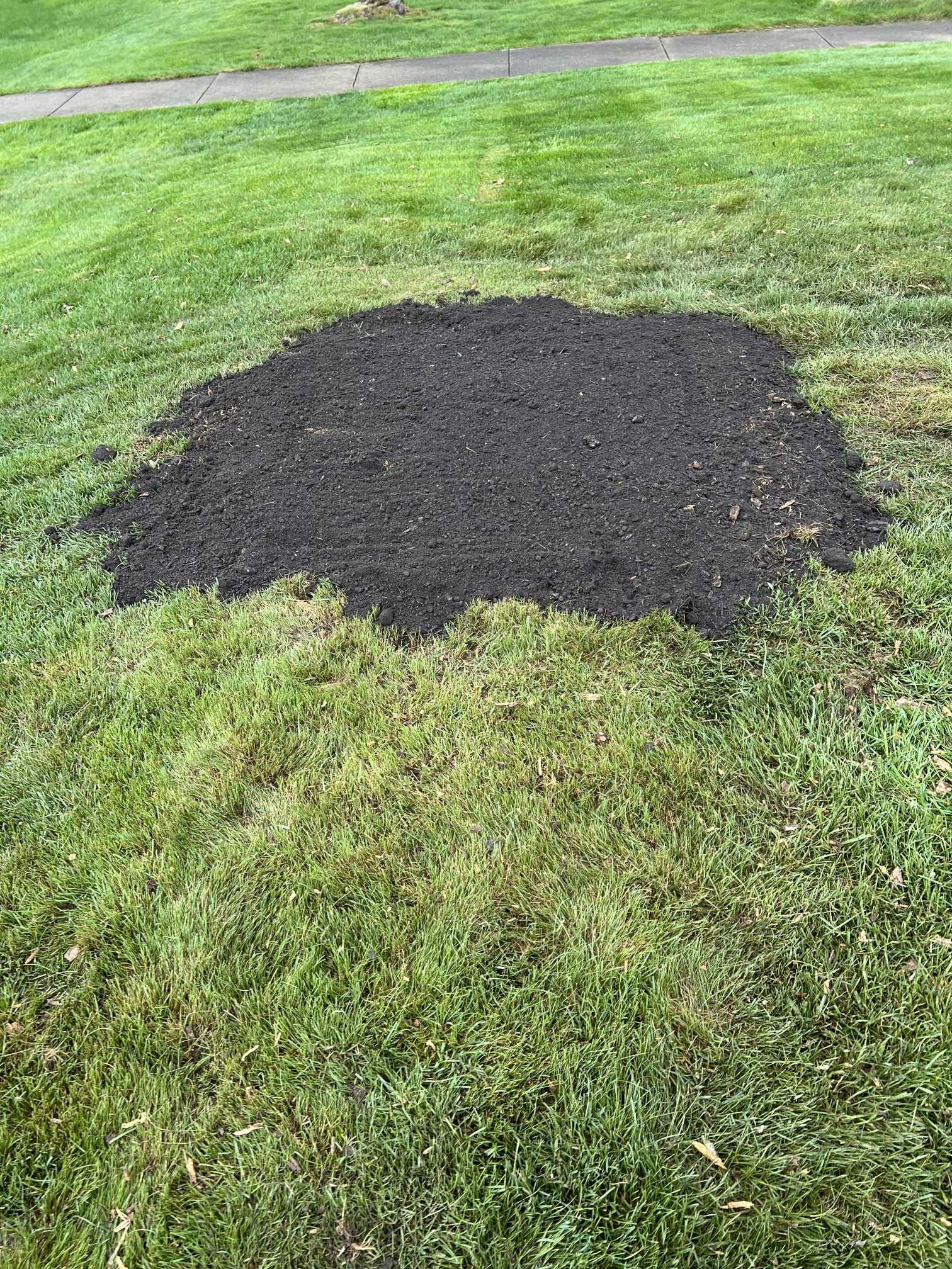 A large pile of dirt is sitting in the middle of a lush green field.