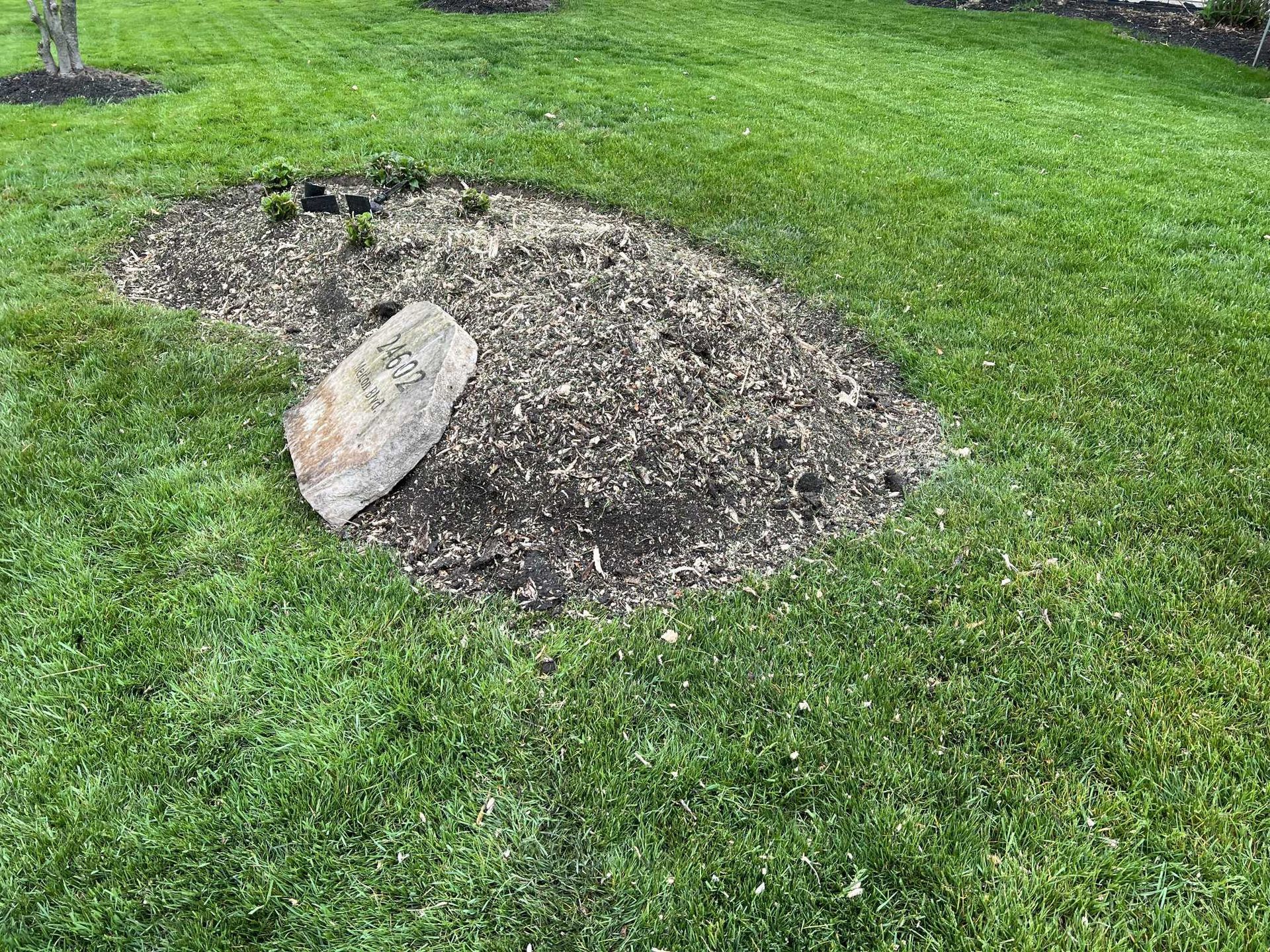A large rock is sitting in the middle of a lush green lawn.