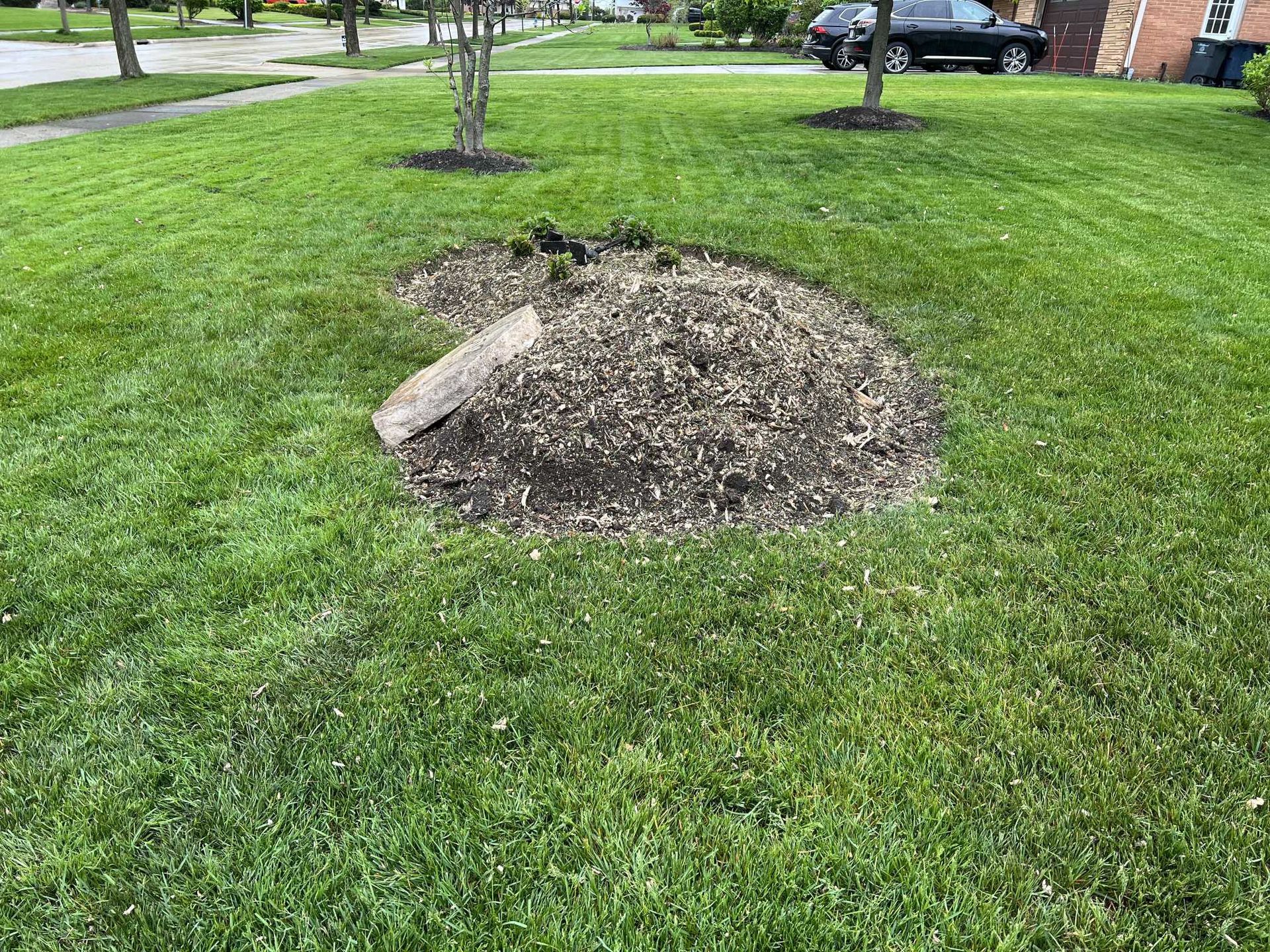 A tree stump is sitting in the middle of a lush green lawn.