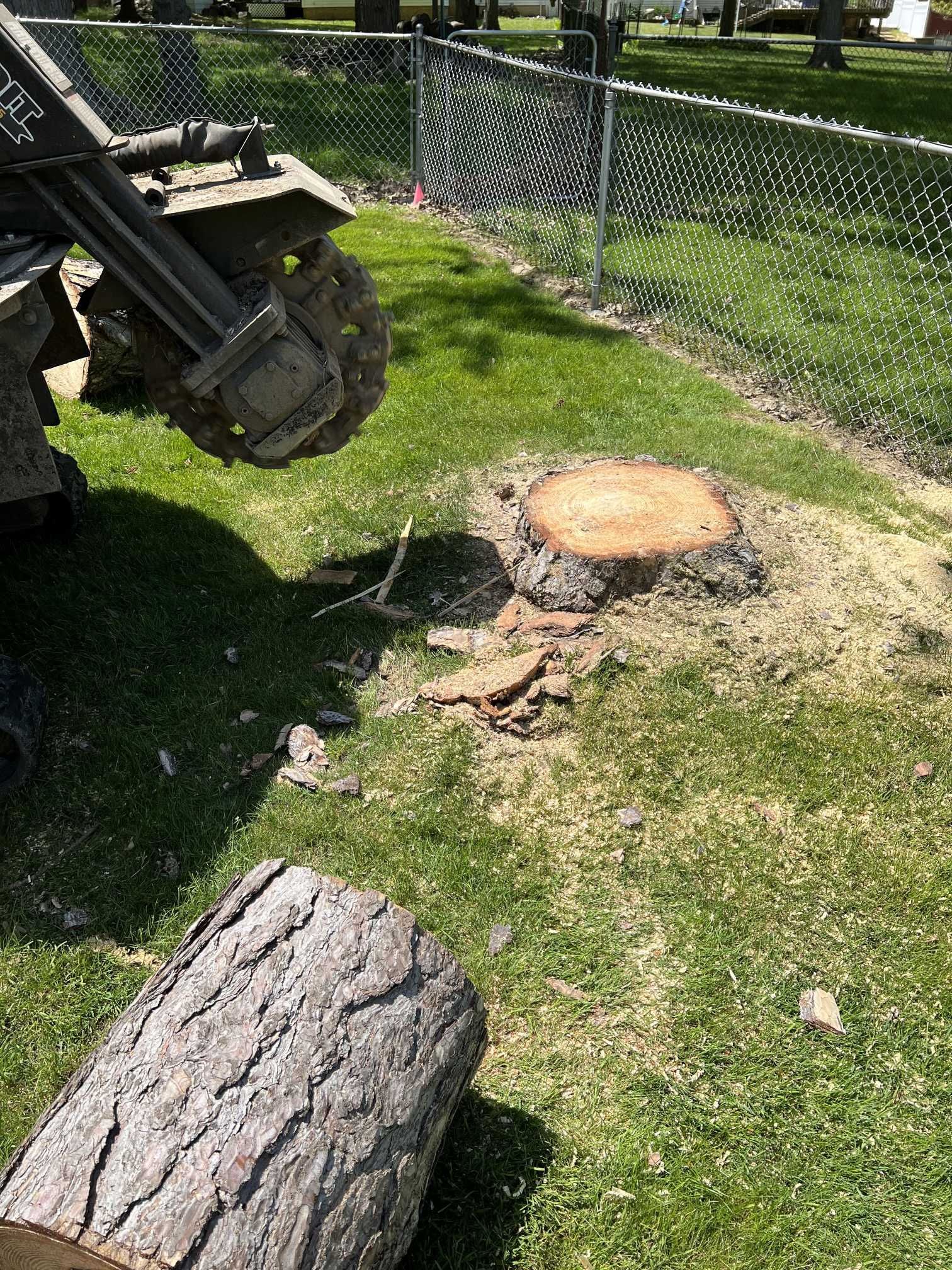 A tree stump is being removed by a machine in a park.