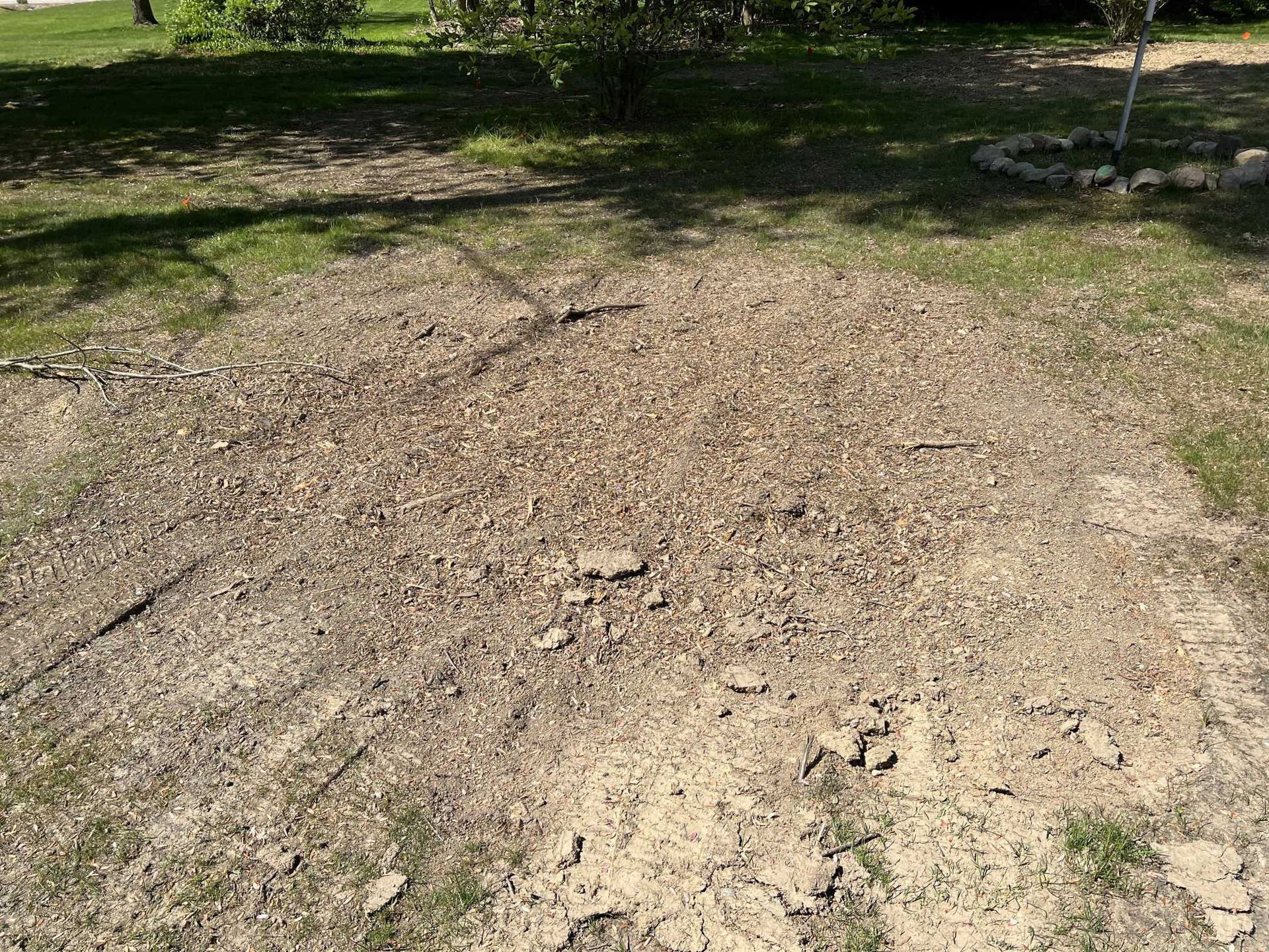 A dirt field with grass and trees in the background.