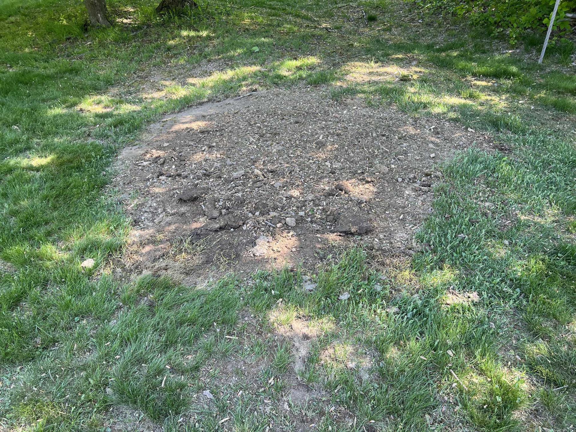 A large pile of dirt is sitting in the middle of a lush green lawn.