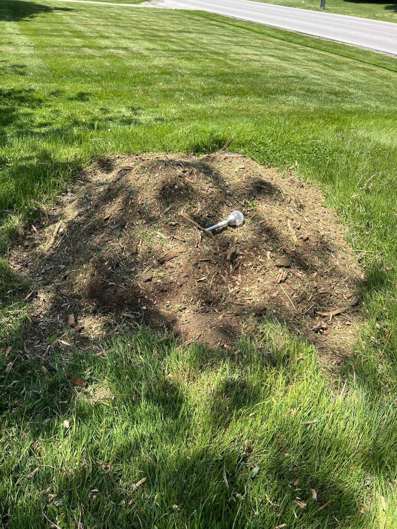 A pile of dirt in the middle of a lush green field.