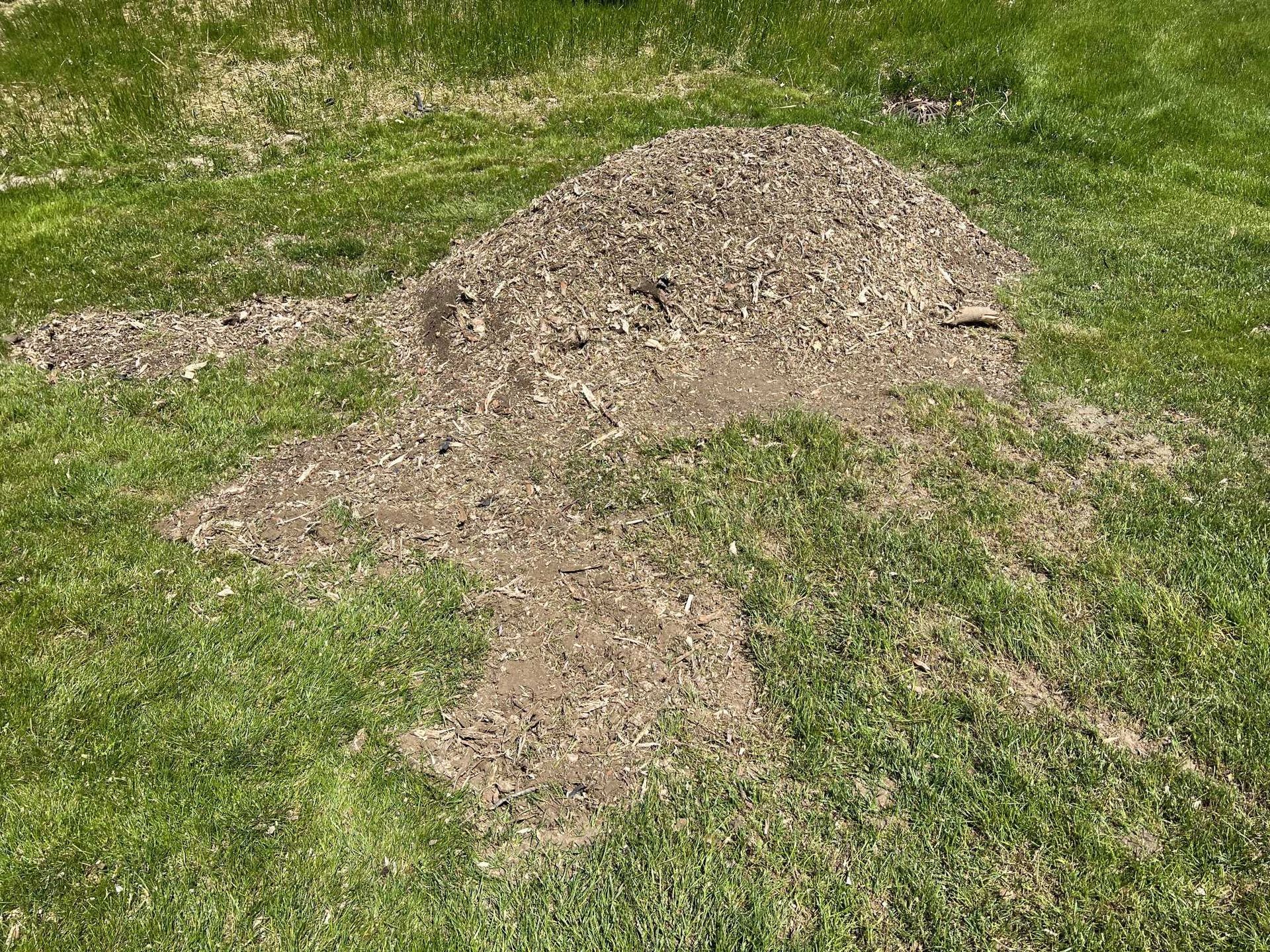 A pile of dirt is sitting on top of a lush green lawn.