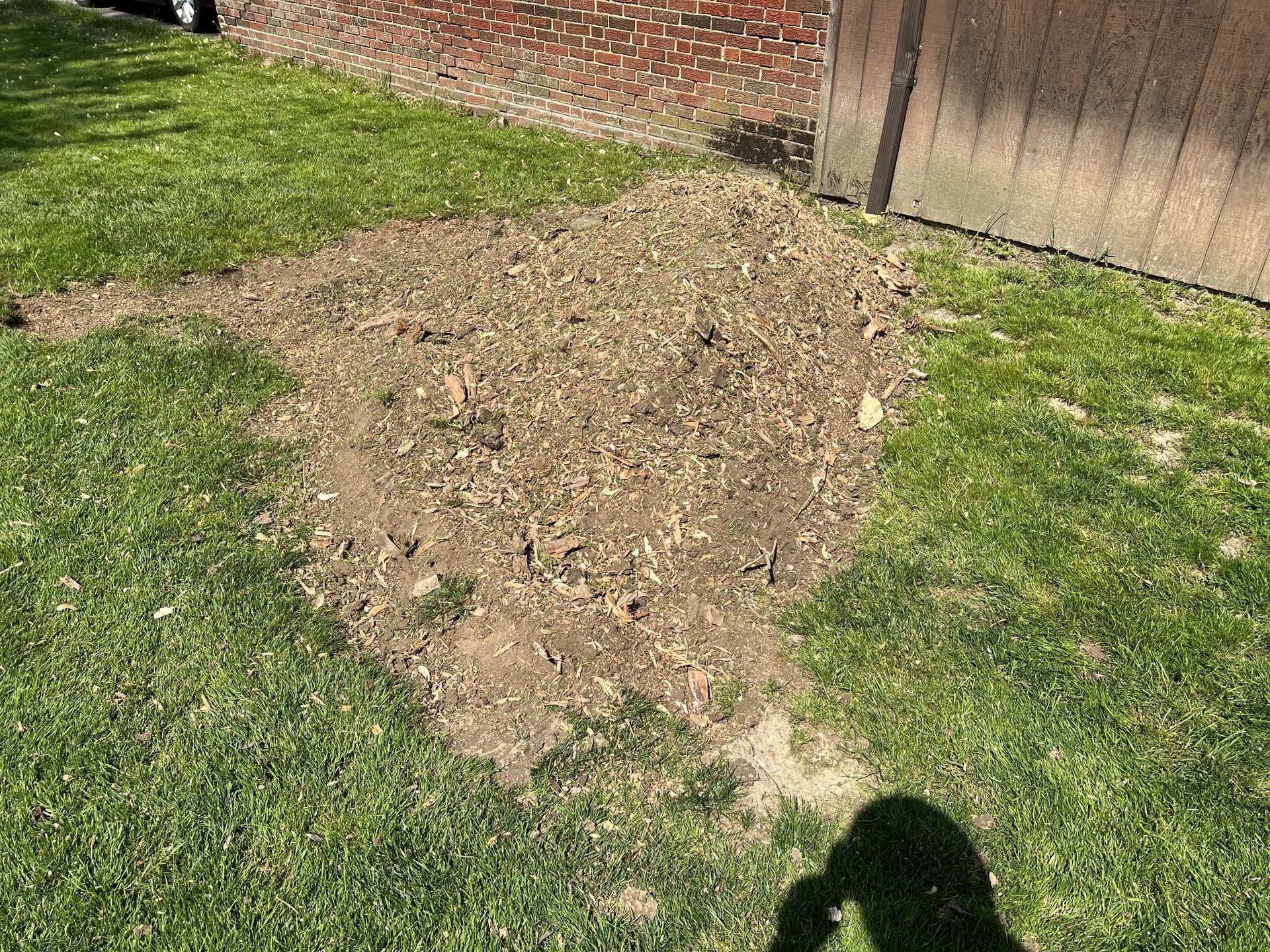A shadow of a person is cast on a lush green lawn next to a wooden fence.