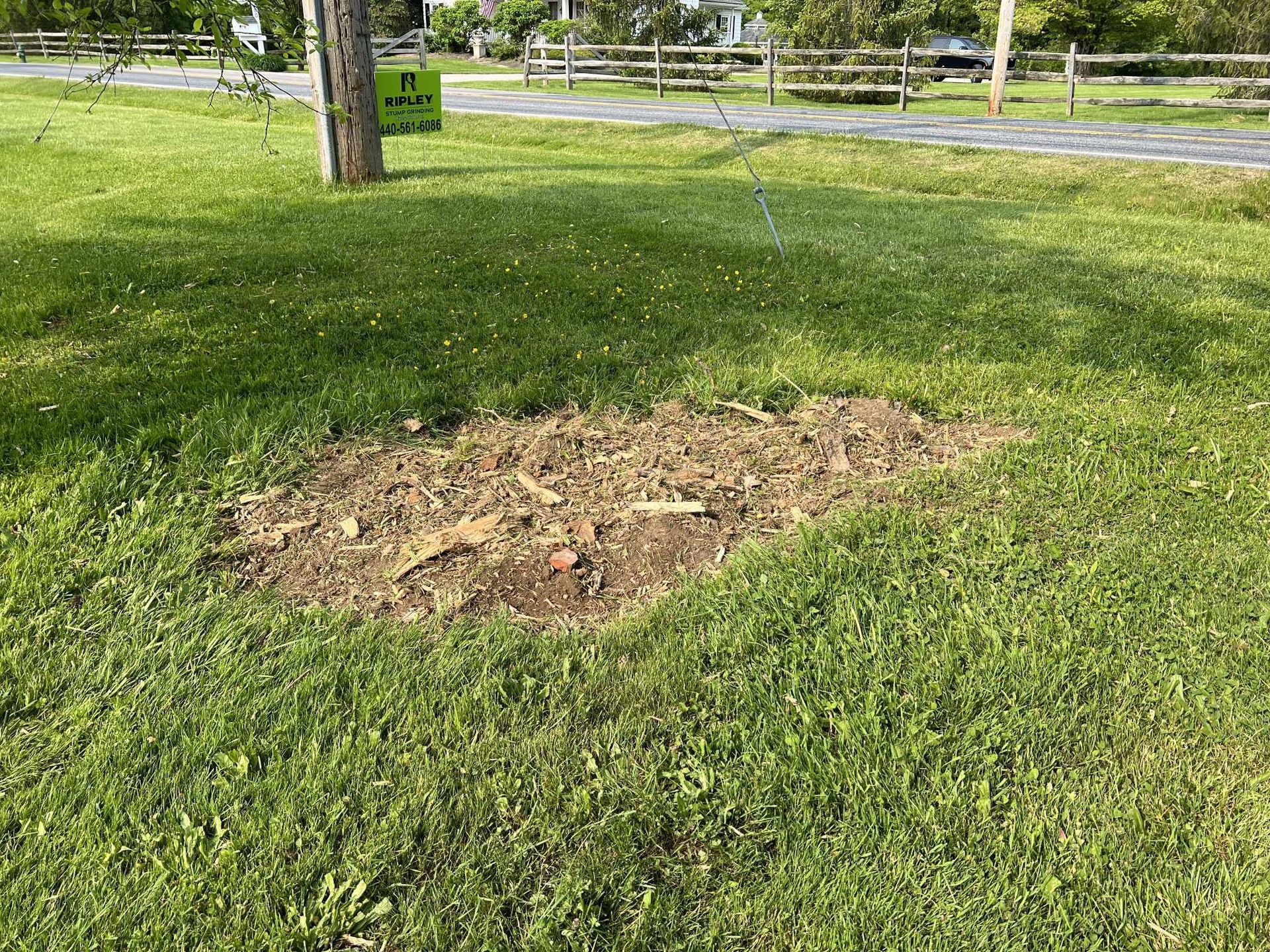 A patch of dirt in the middle of a lush green field.