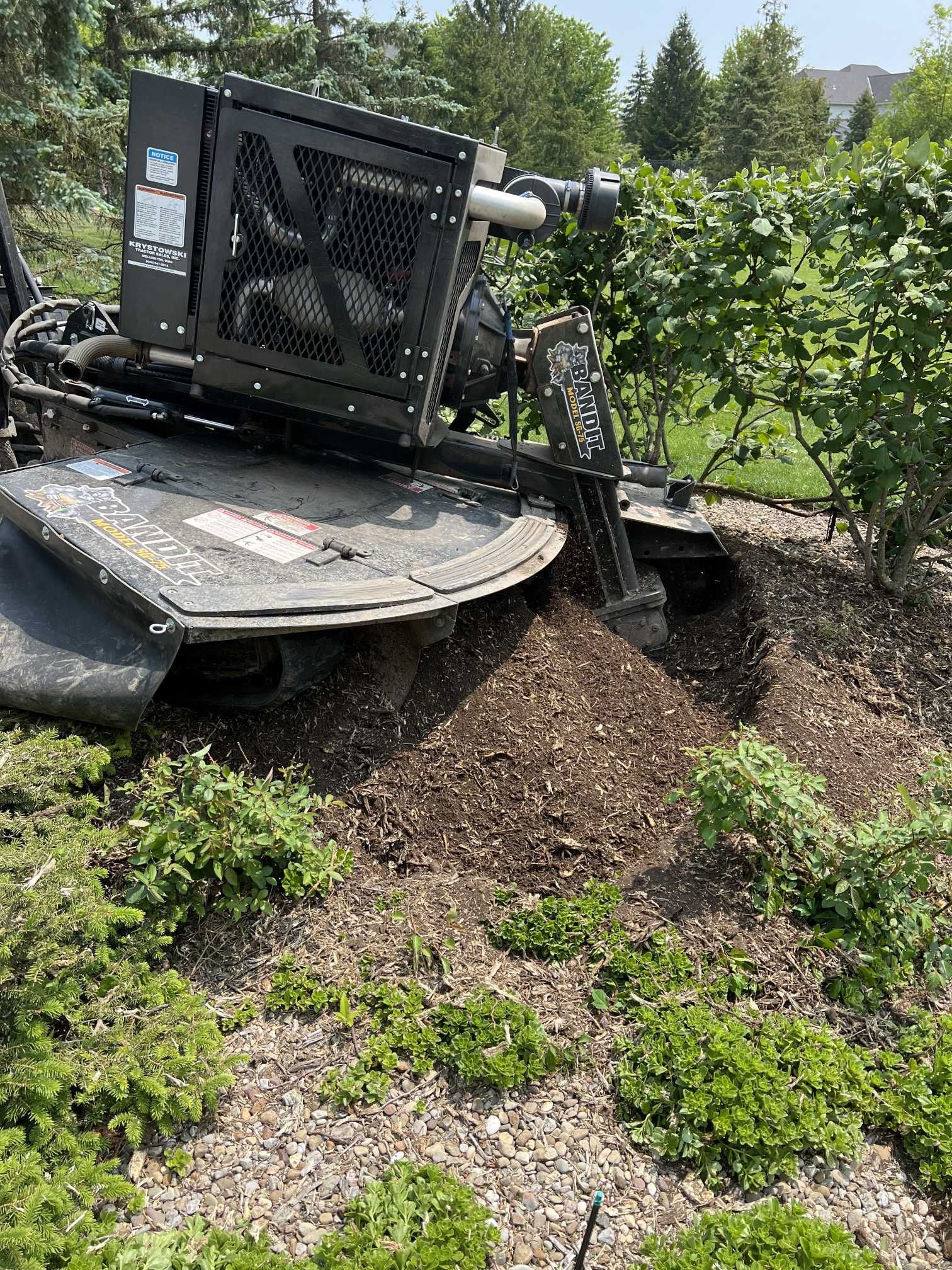 A stump grinder is cutting a tree stump in a garden.
