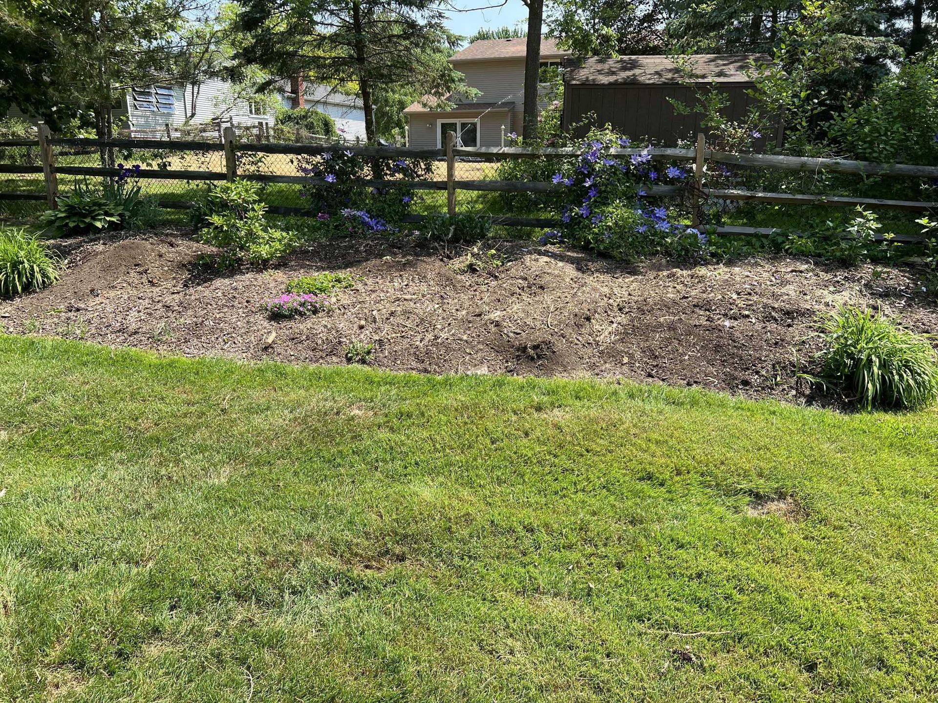 A lush green lawn with a wooden fence and a house in the background.