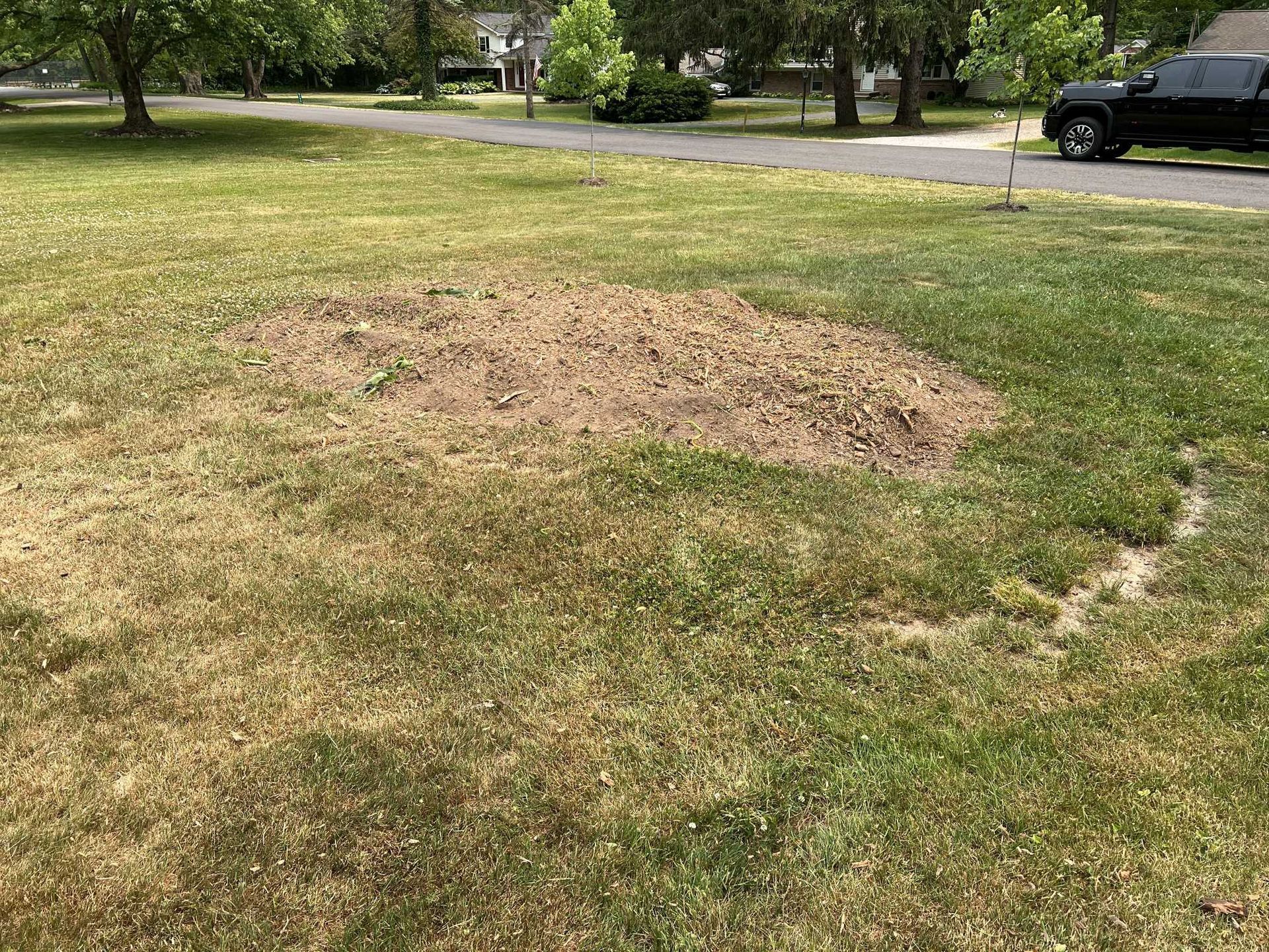 A black truck is parked in the middle of a lush green field.