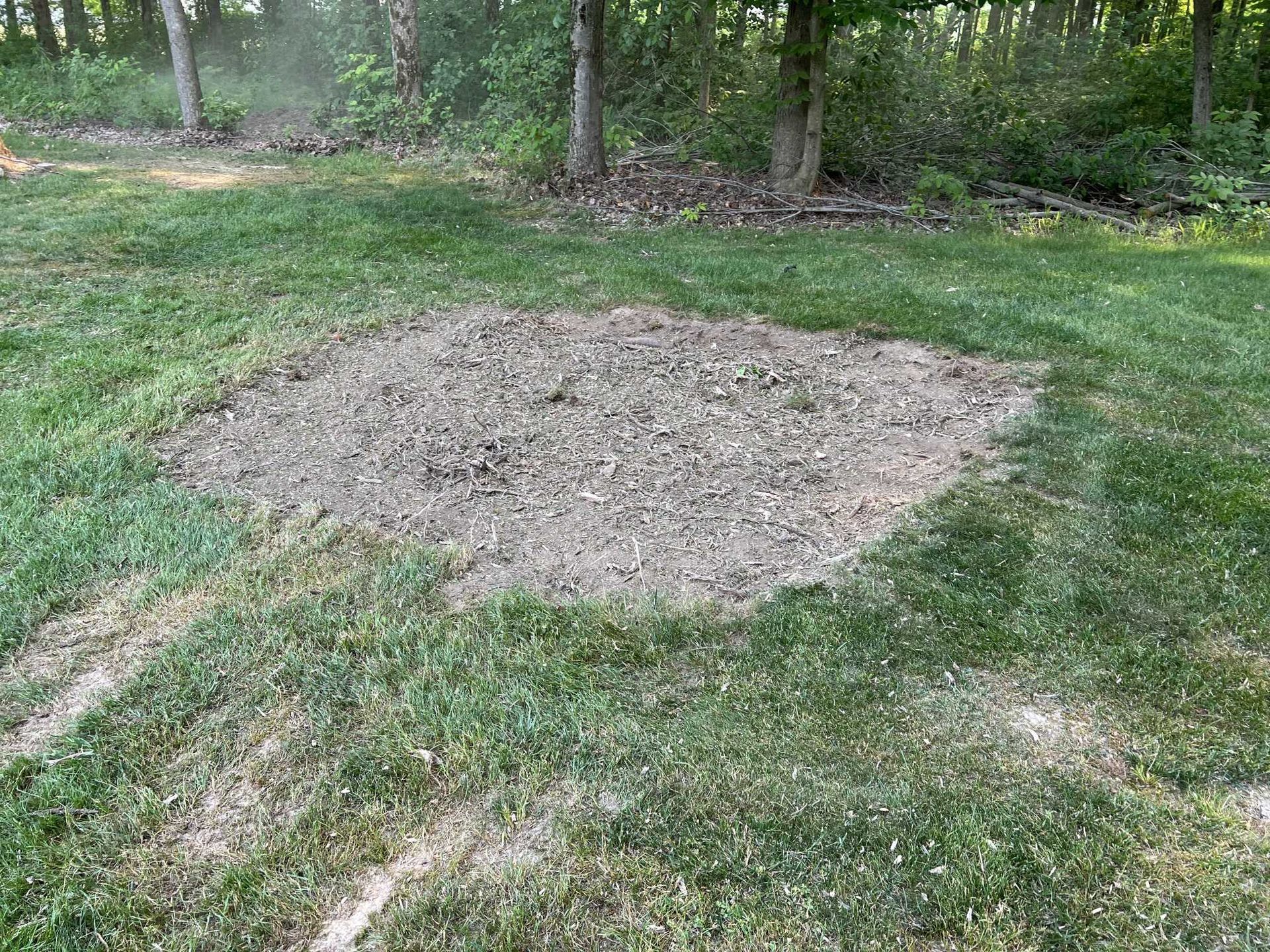 A circle in the middle of a lush green field with trees in the background.