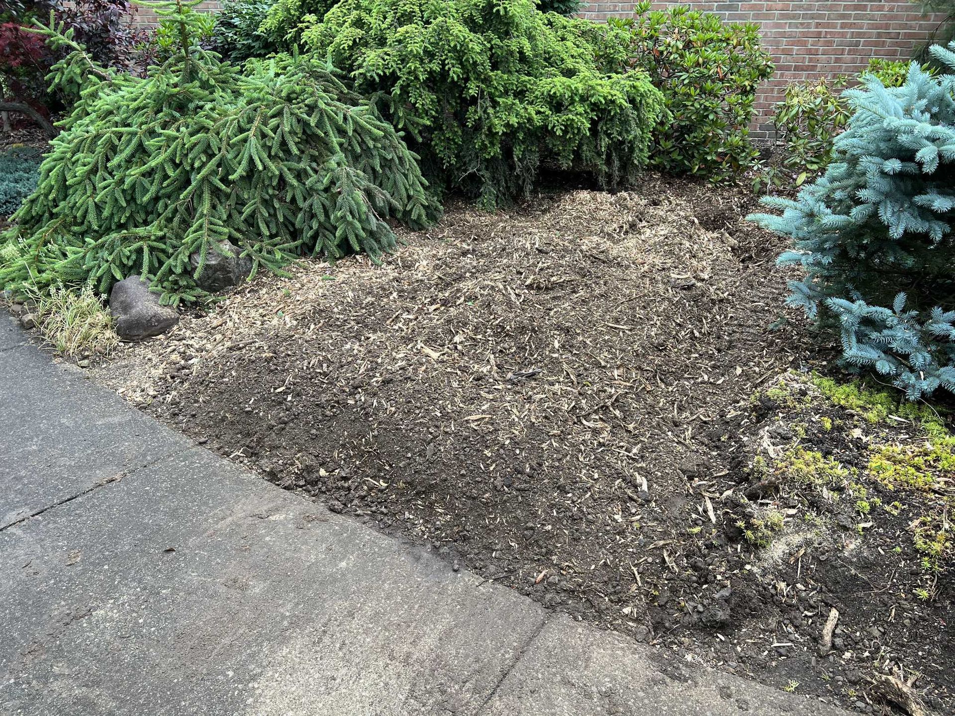 A pile of mulch is sitting next to a sidewalk in a garden.