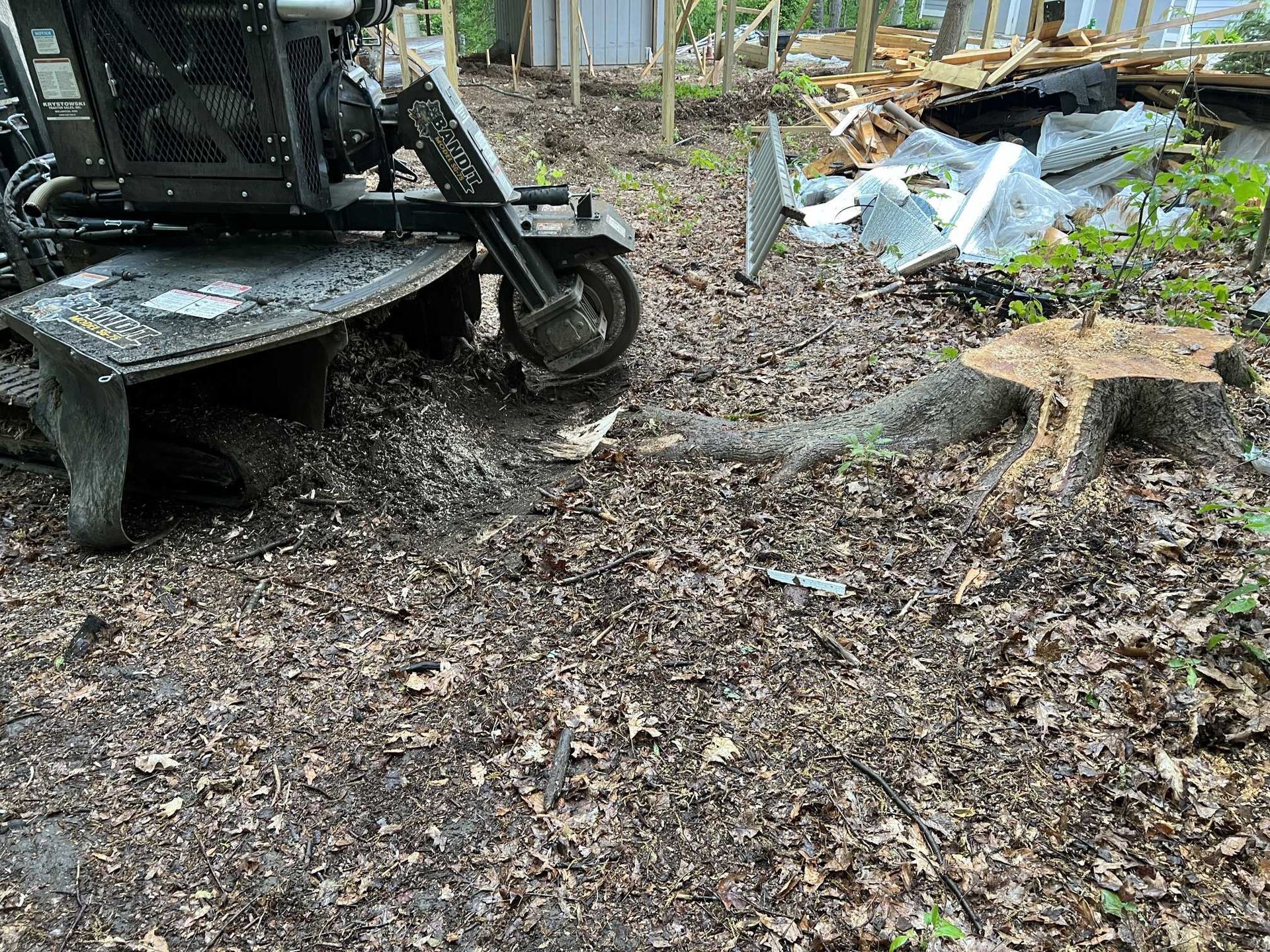 A machine is stump grinding a tree stump in the woods.