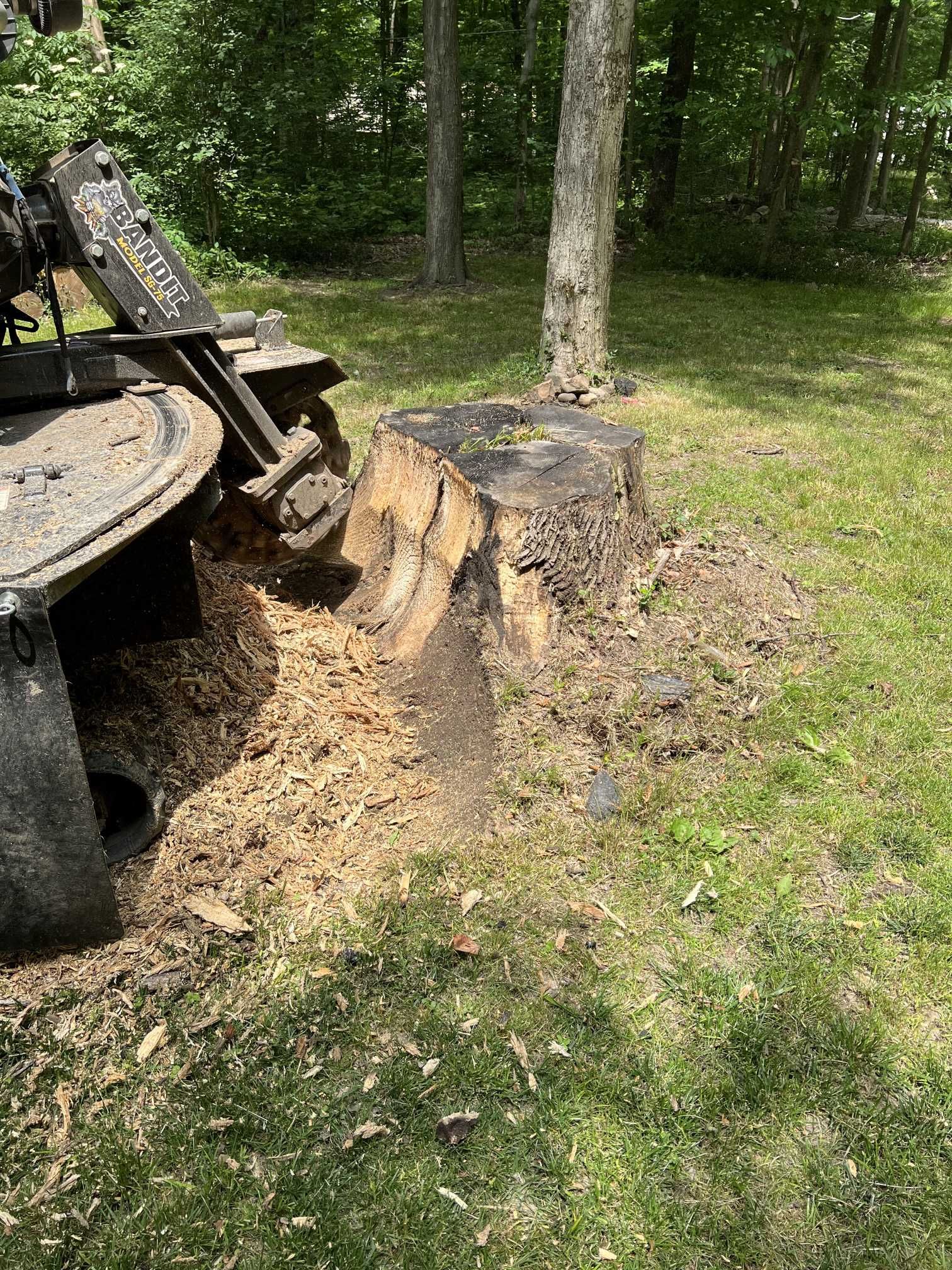 A tree stump is being removed by a machine in a yard.