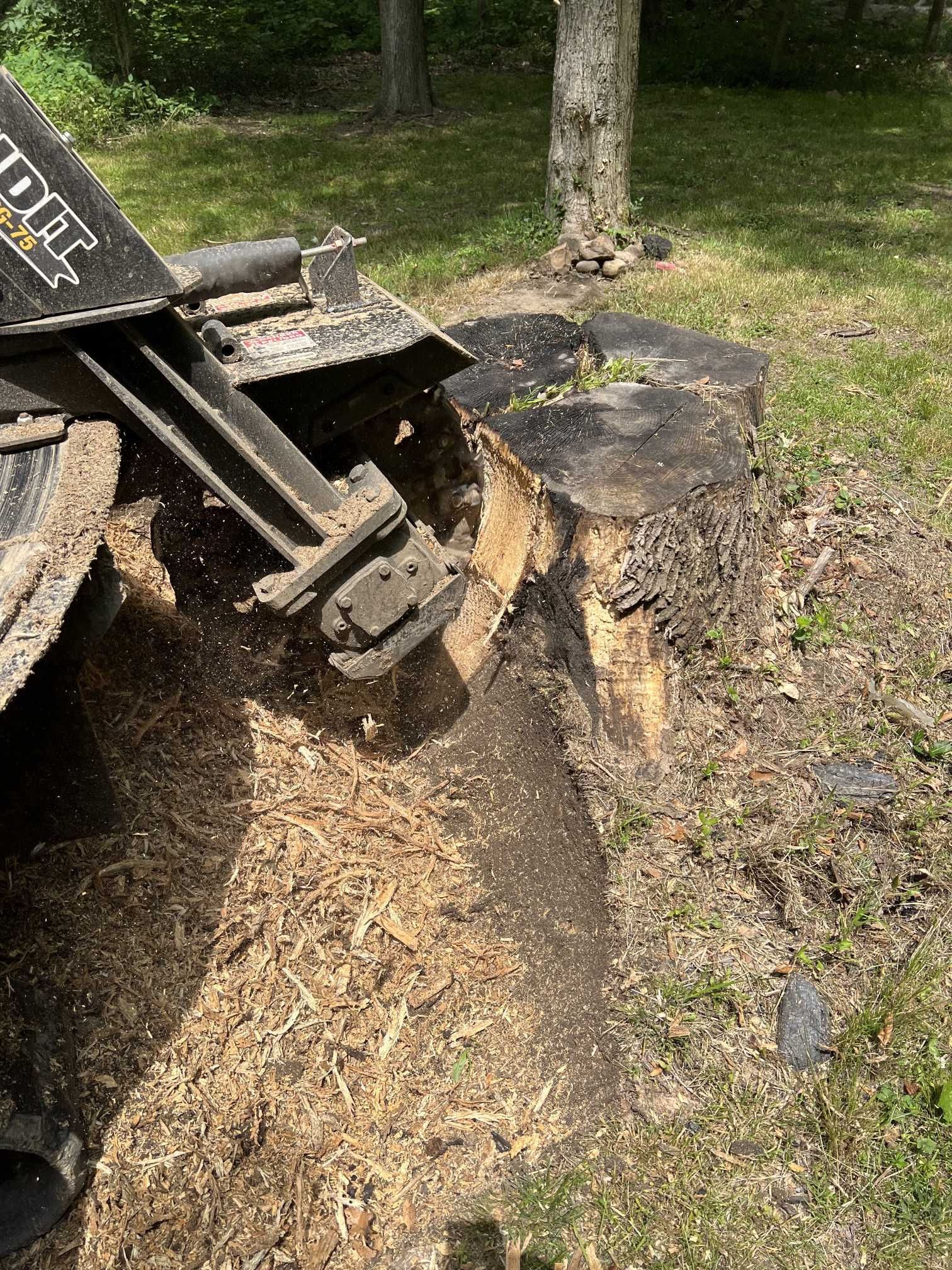 A tree stump is being removed by a machine in a yard.
