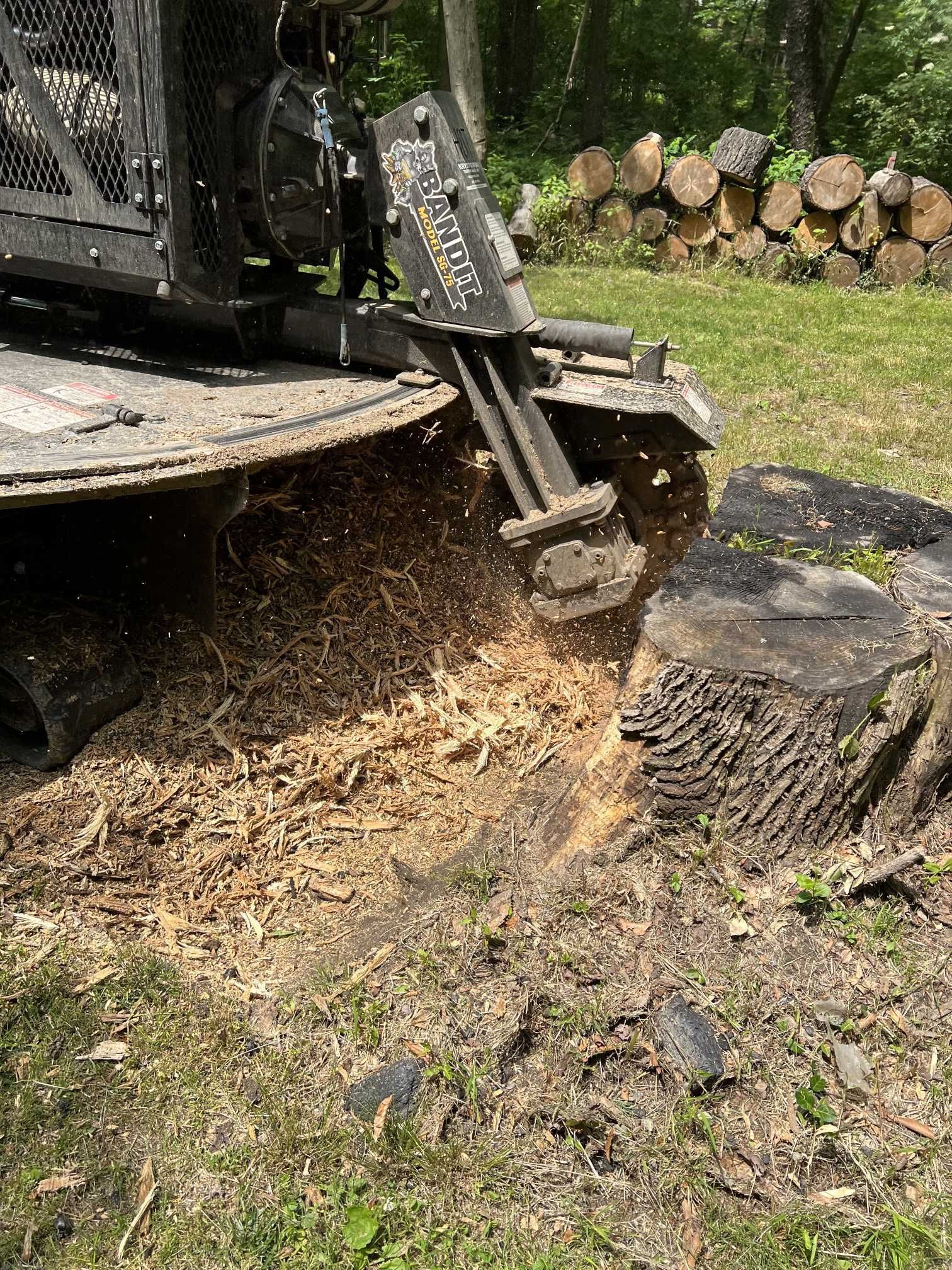 A stump grinder is grinding a tree stump in a yard.