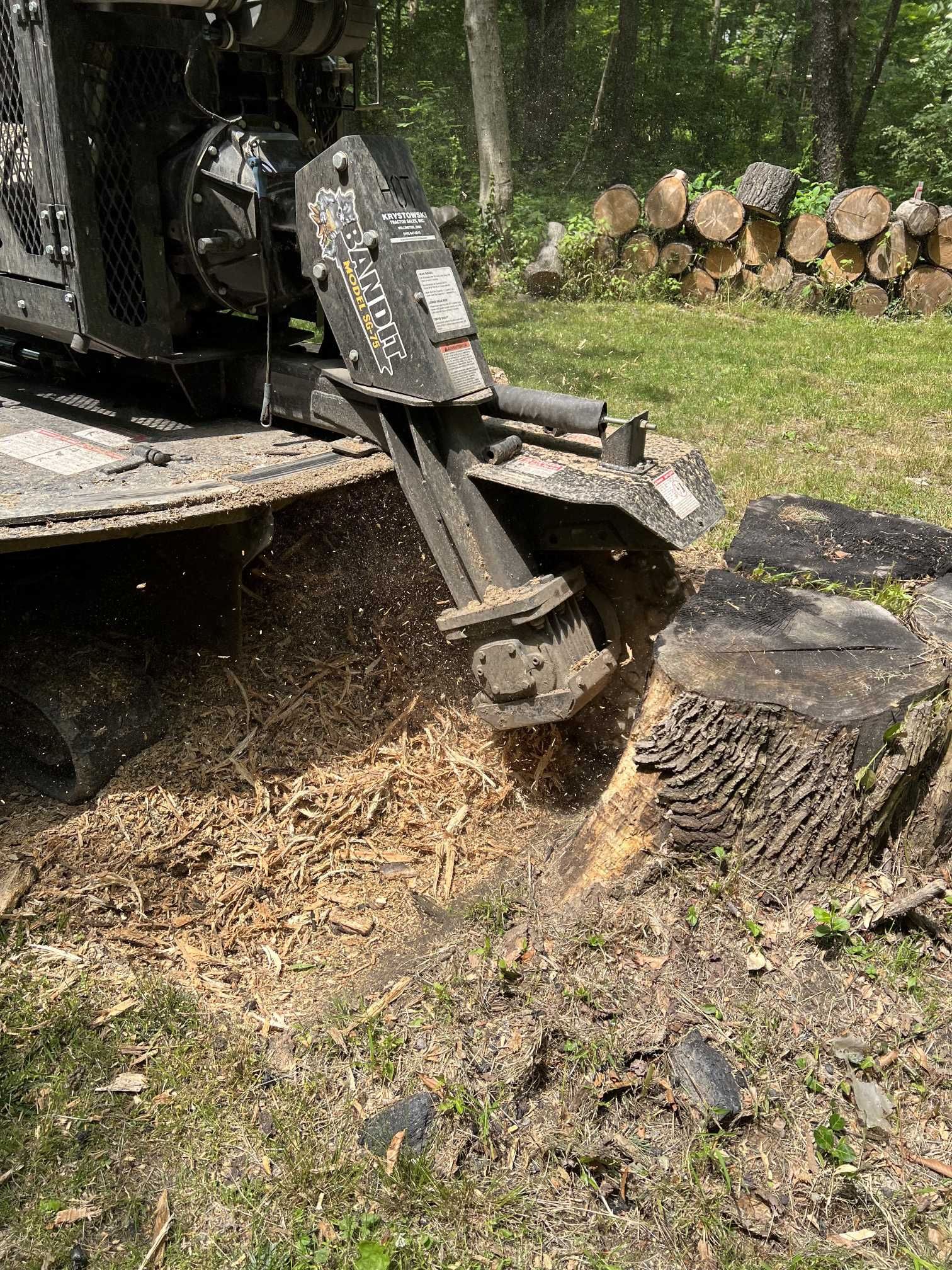 A stump grinder is grinding a tree stump in the woods.