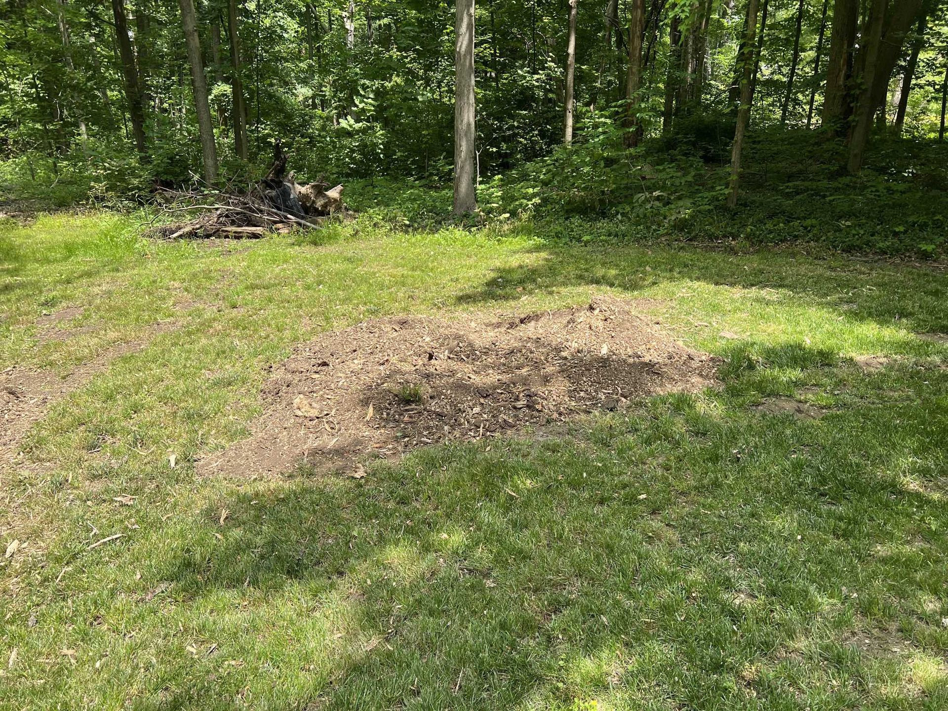 There is a fire pit in the middle of the grass in the woods.