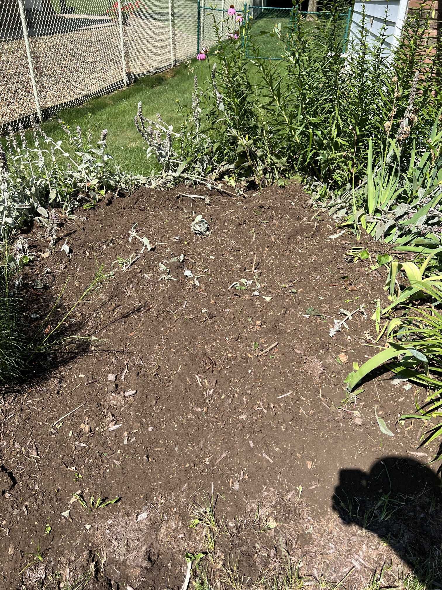 There is a lot of dirt in the middle of the garden.
