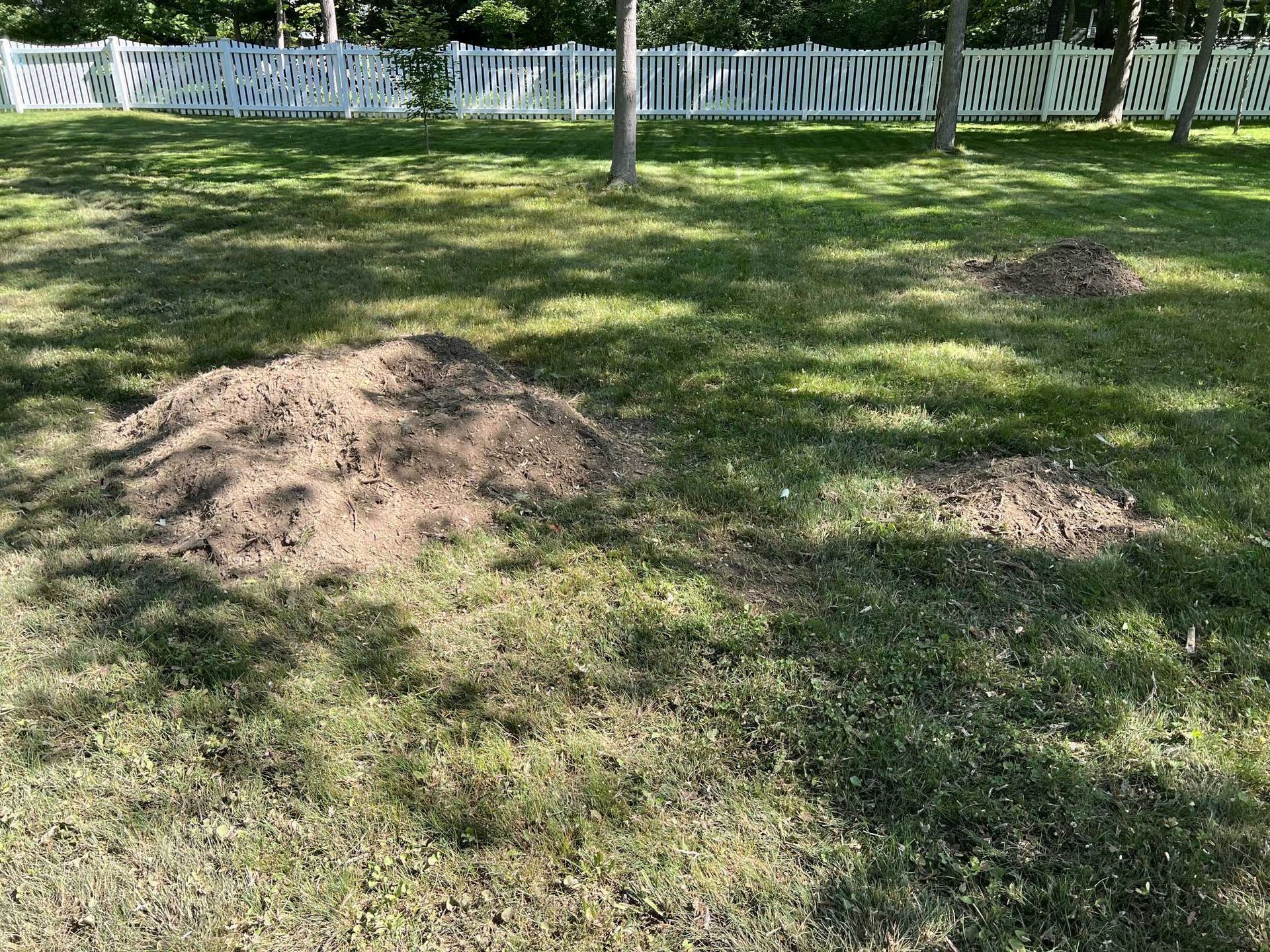 There is a pile of dirt in the middle of the grass.