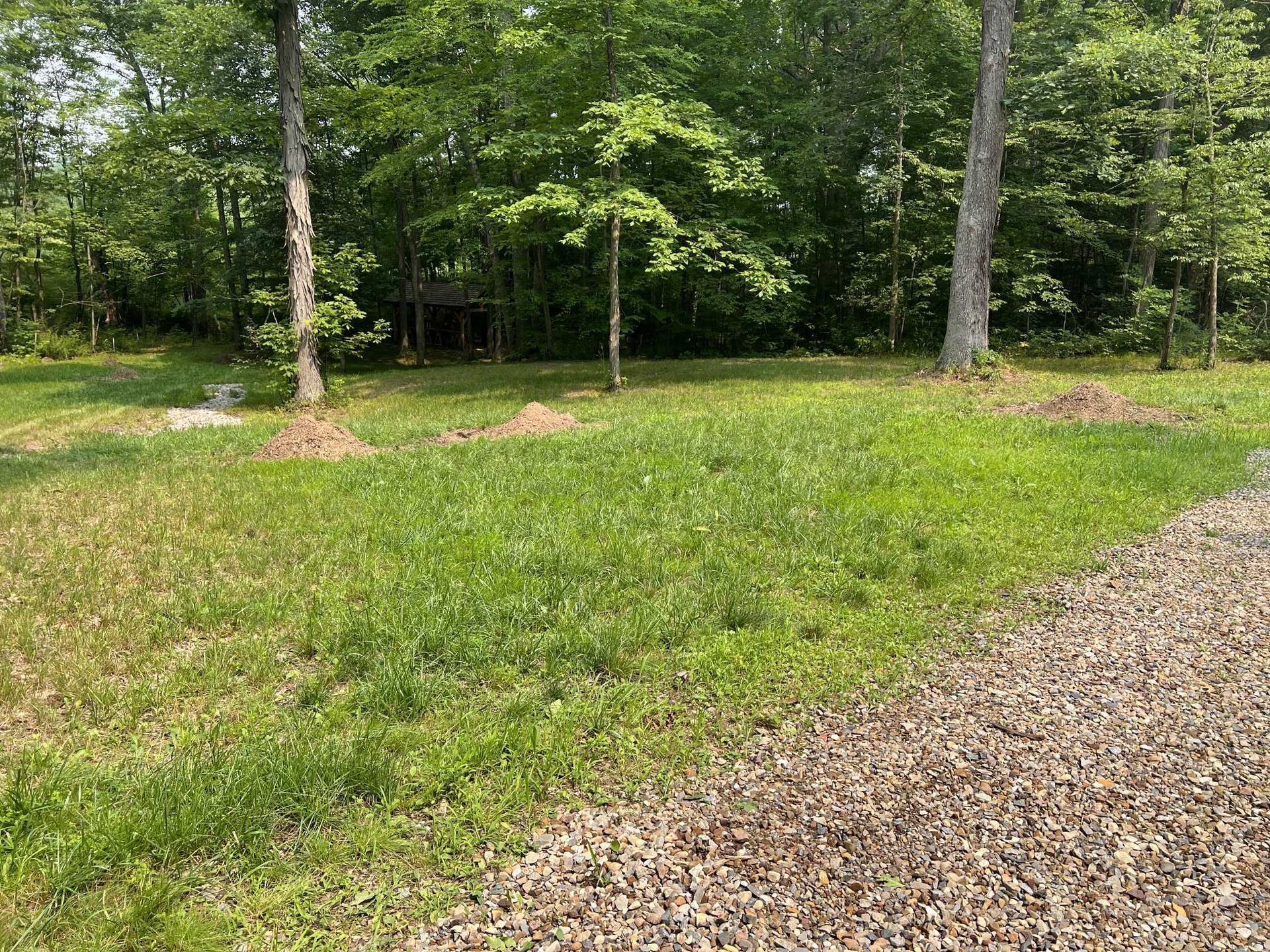 A dirt road going through a grassy field with trees in the background.