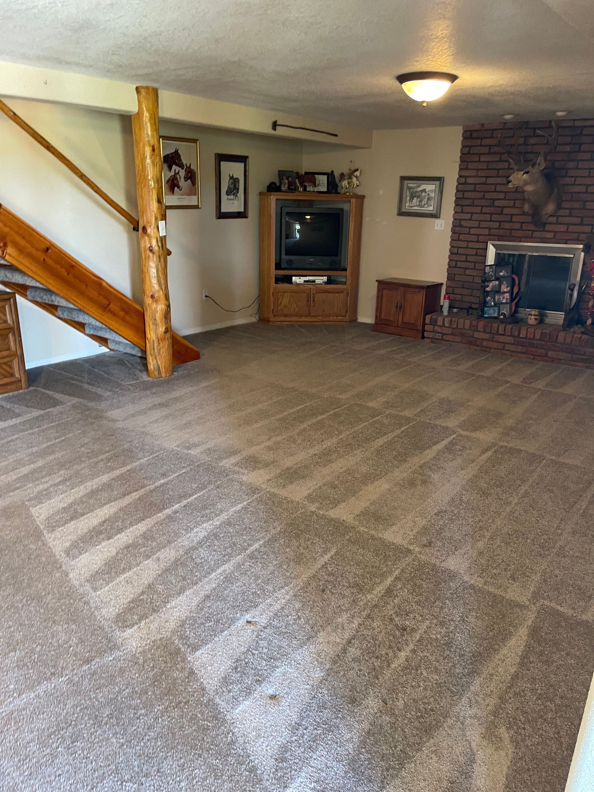 carpet cleaning services denver