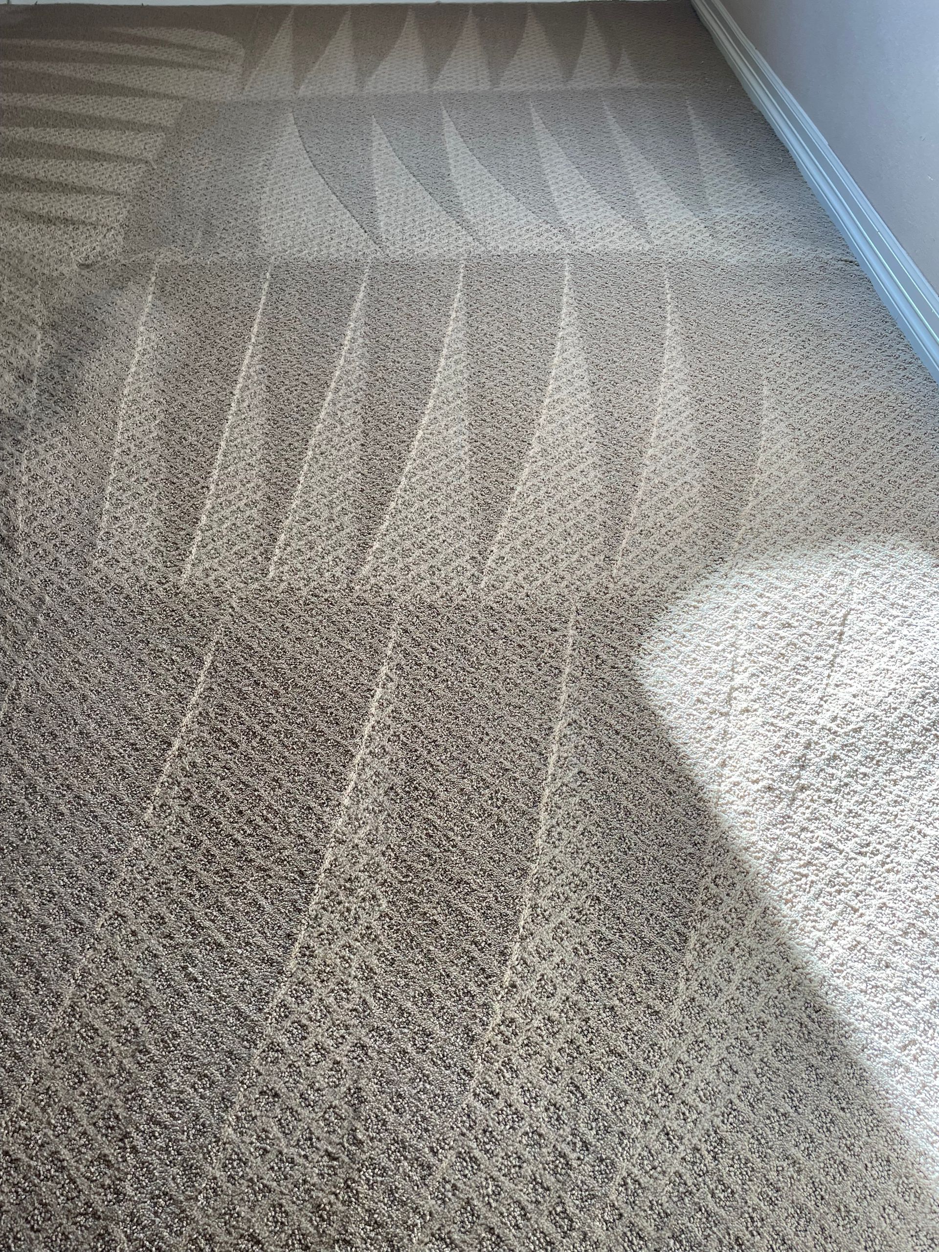 carpet cleaning services denver
