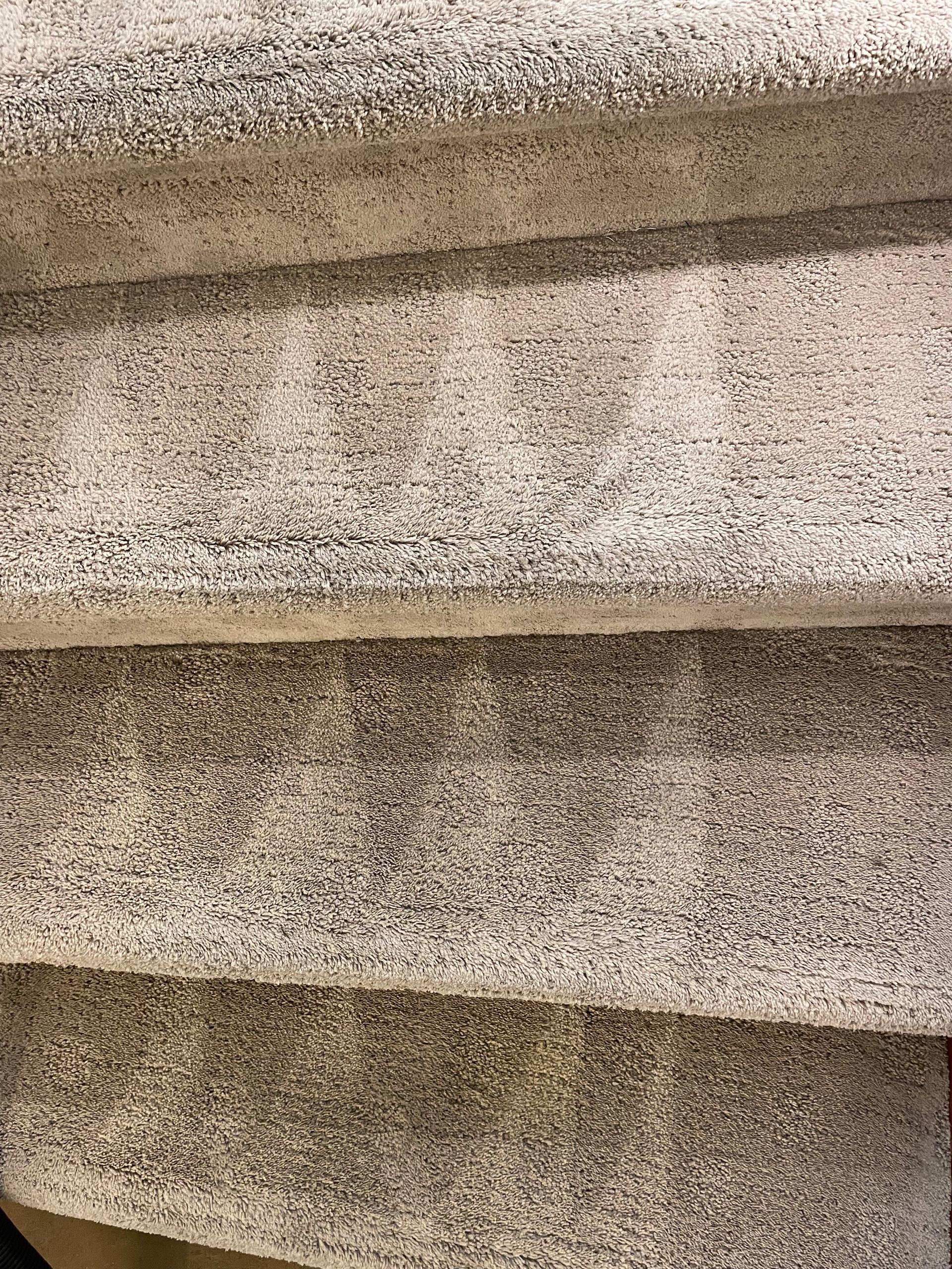 carpet cleaning services denver