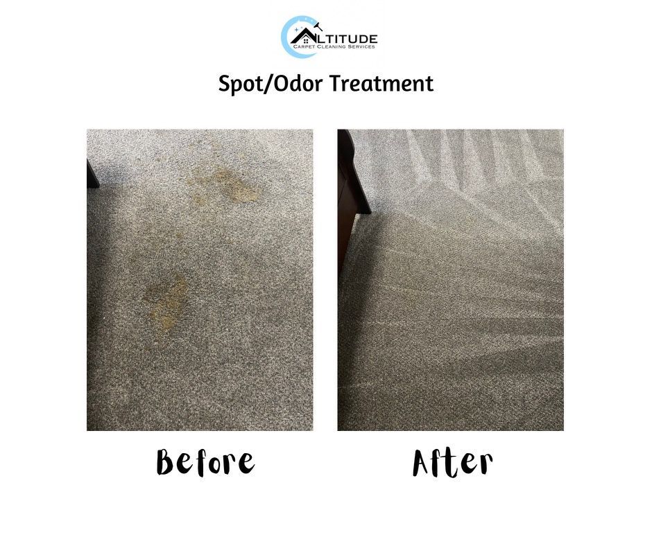 carpet cleaning services denver