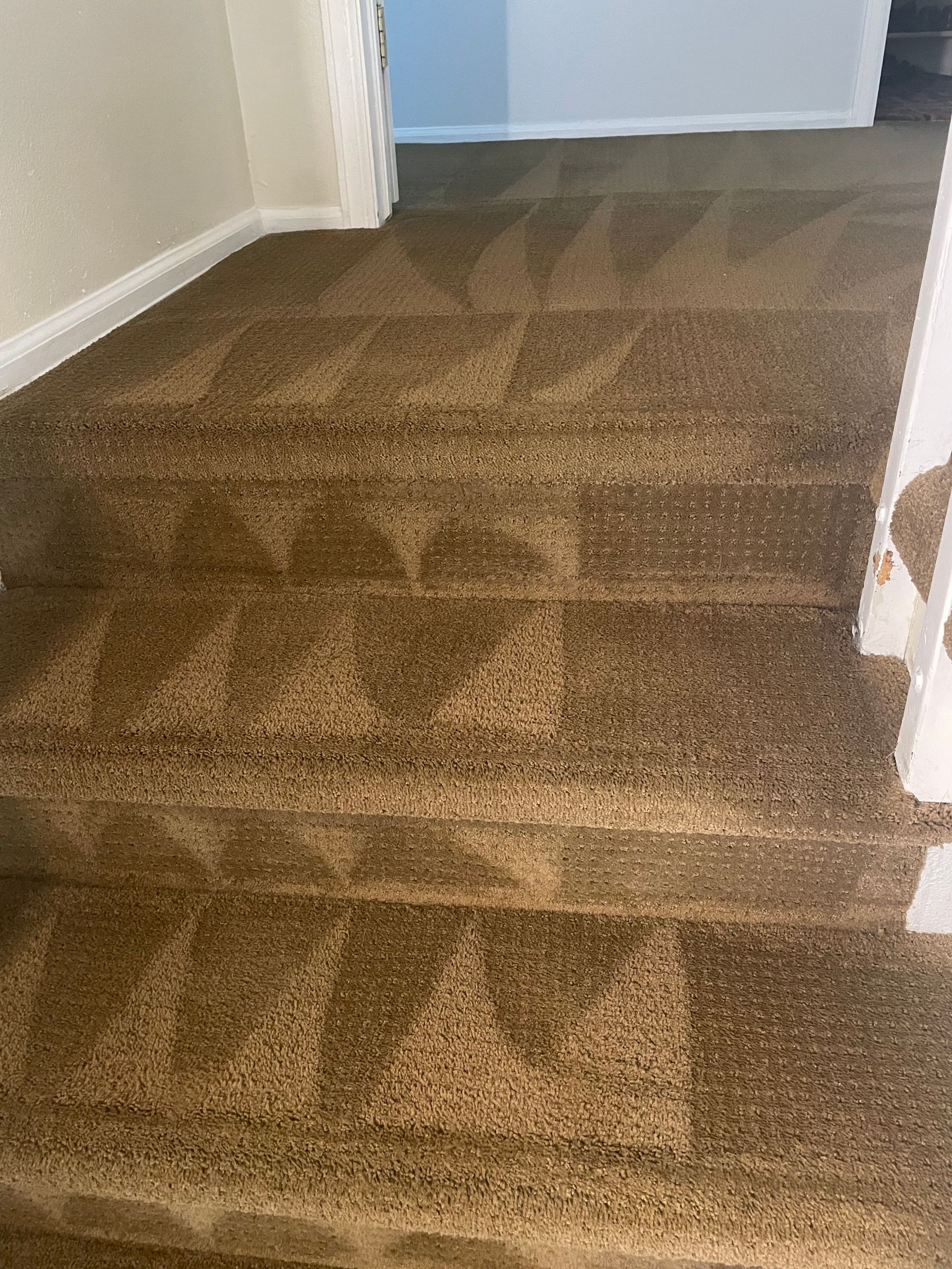 carpet cleaning services denver