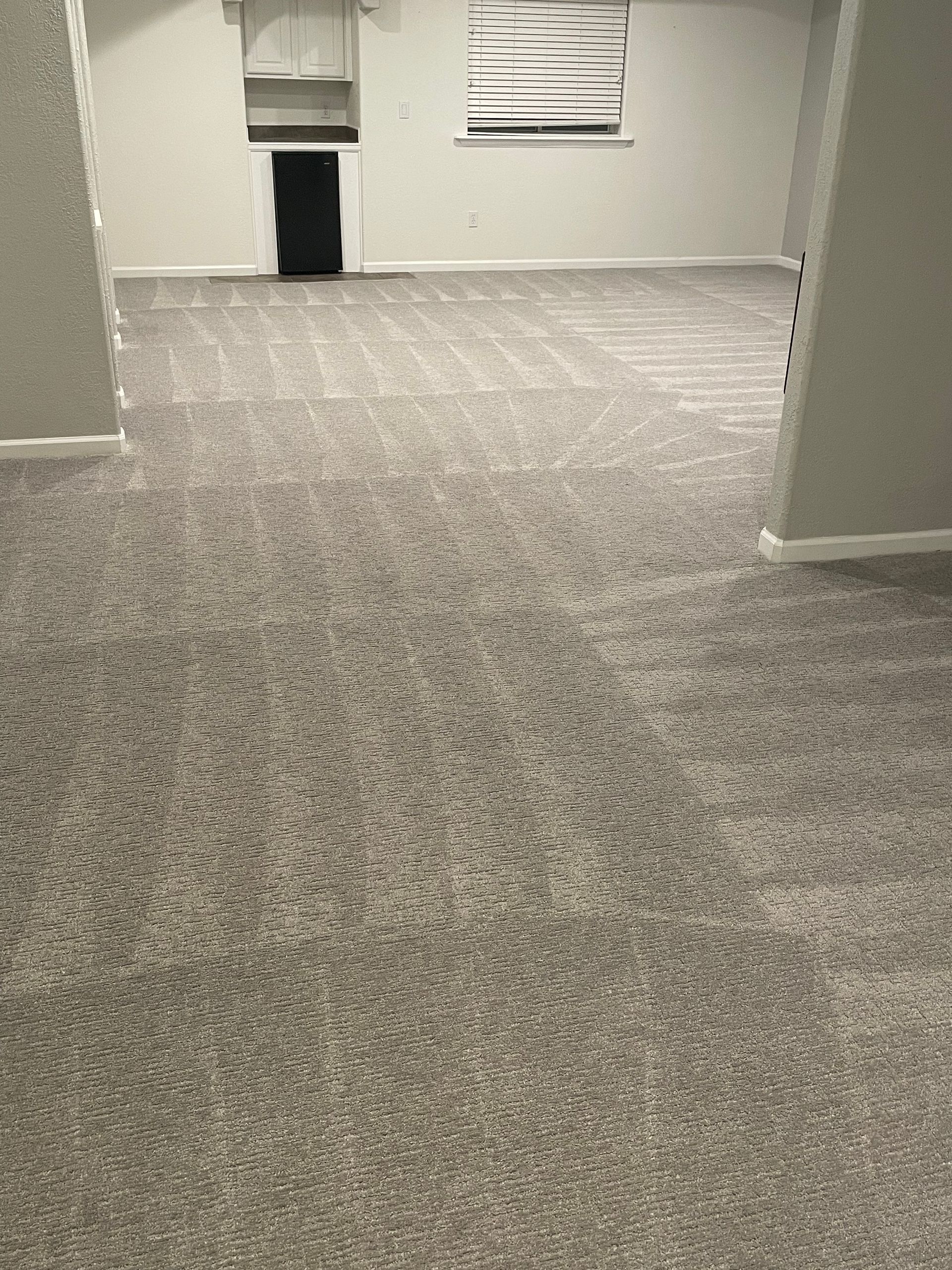 carpet cleaning services denver