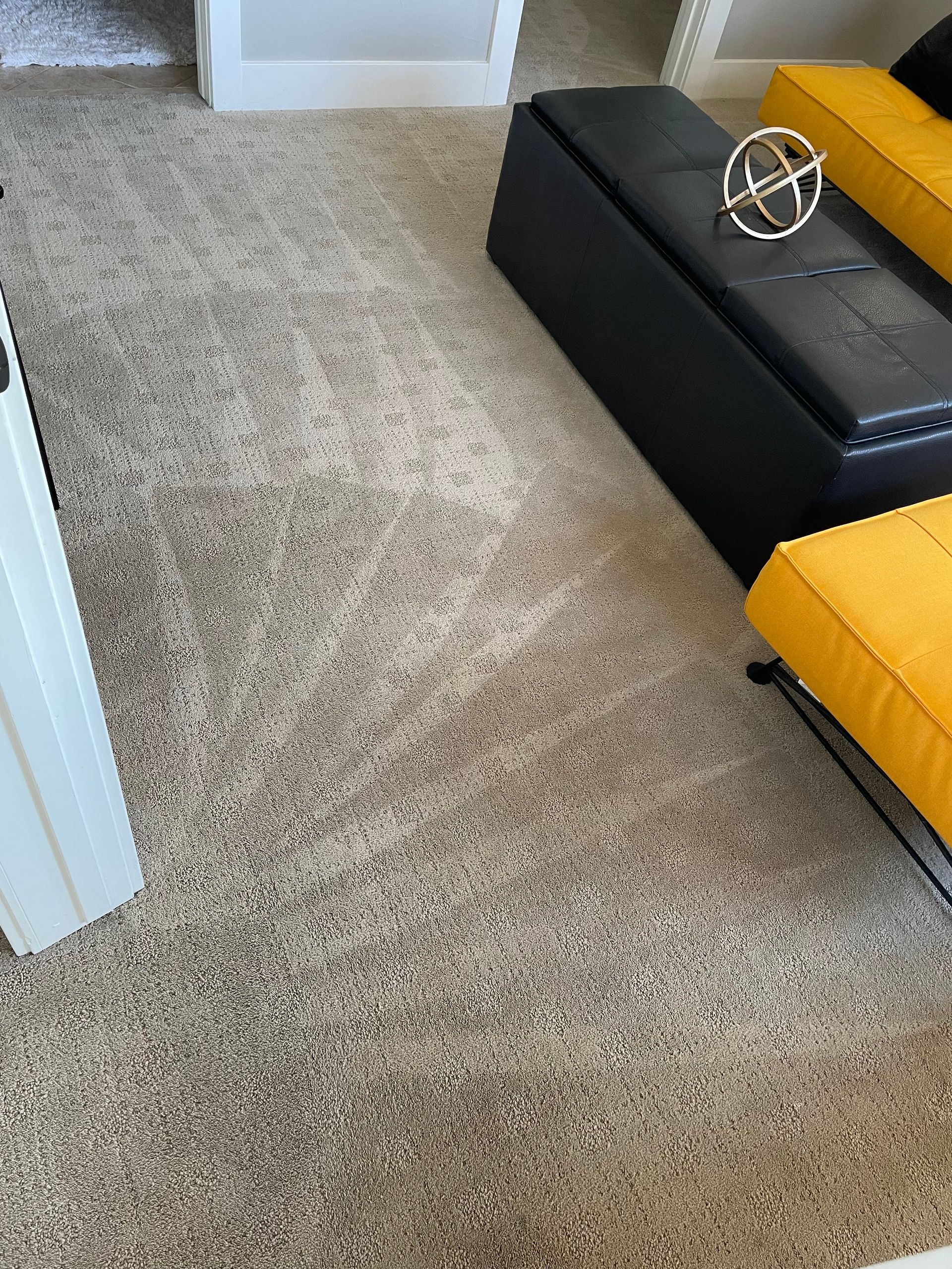 carpet cleaning services denver