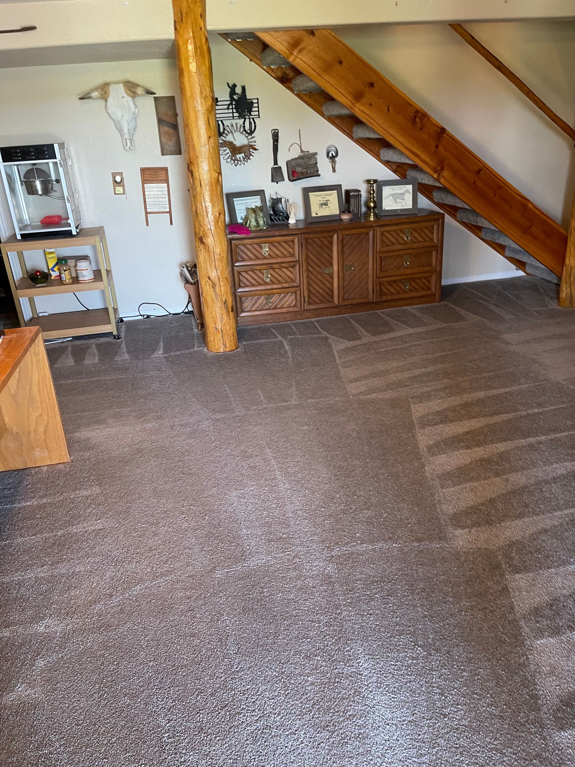 carpet cleaning services denver