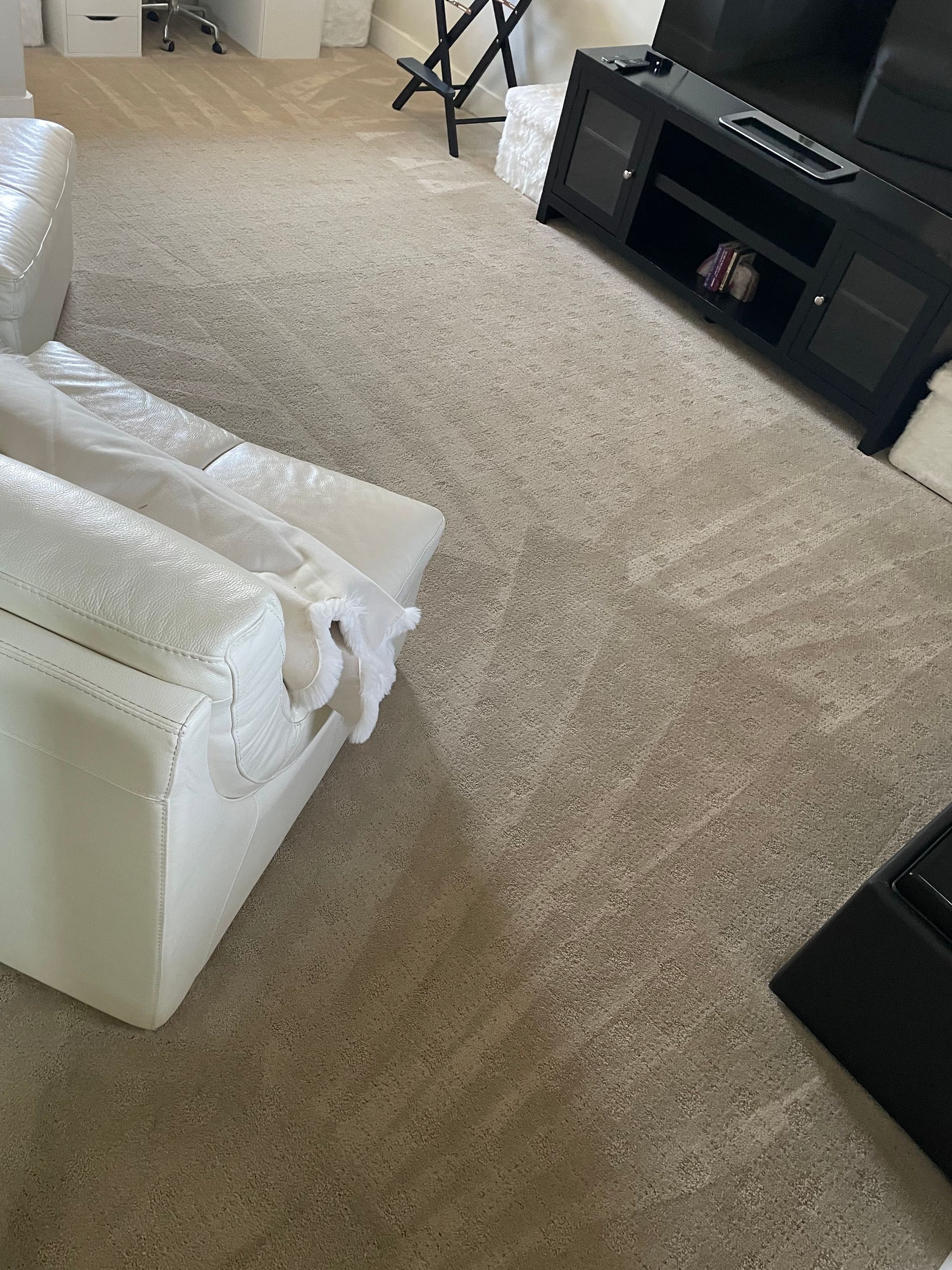 carpet cleaning services denver