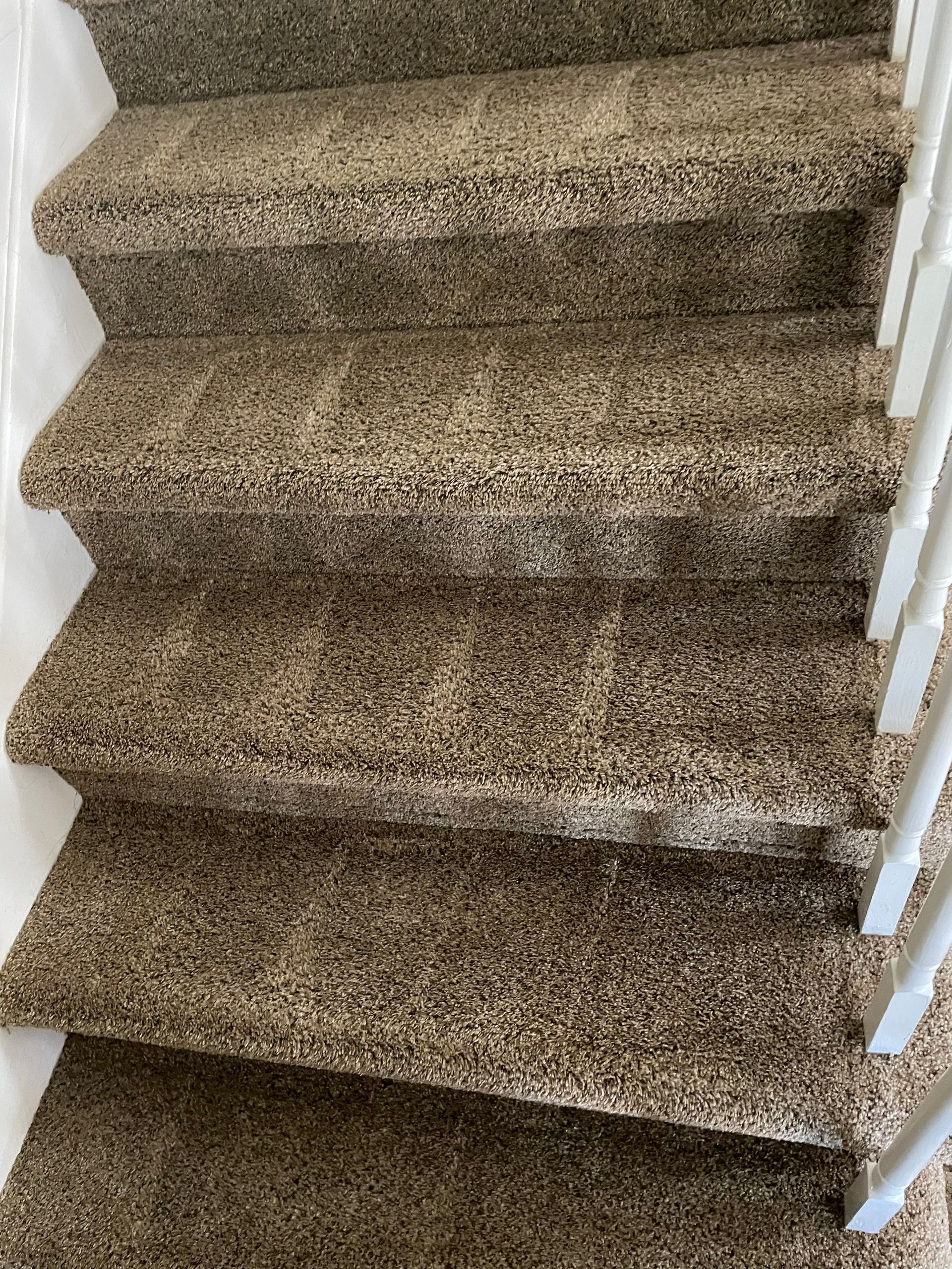 carpet cleaning services denver