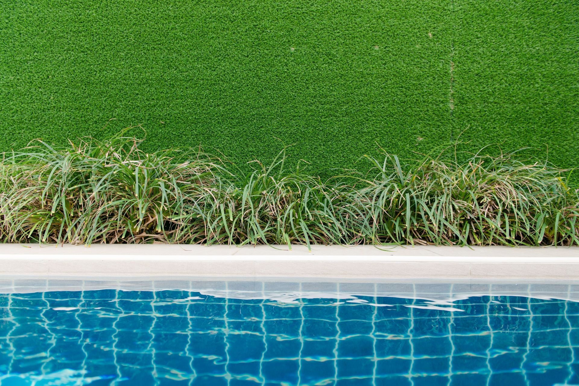 Artificial grass wall behind a pool accented with plants showcasing a stylish design 