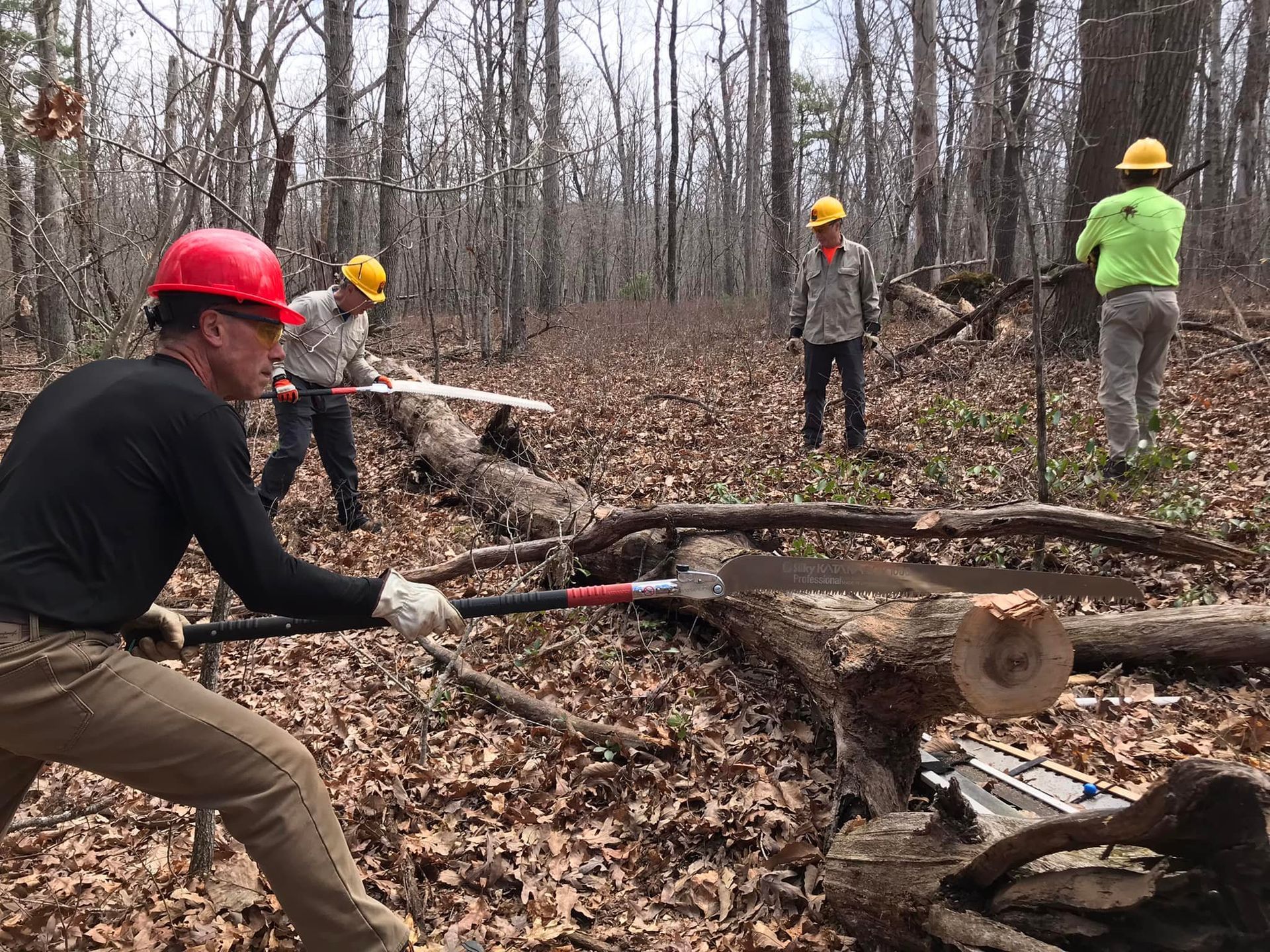 Multiple PATC volunteers, wearing hardhats and vests, hand-sawing fallen trees in the forest.