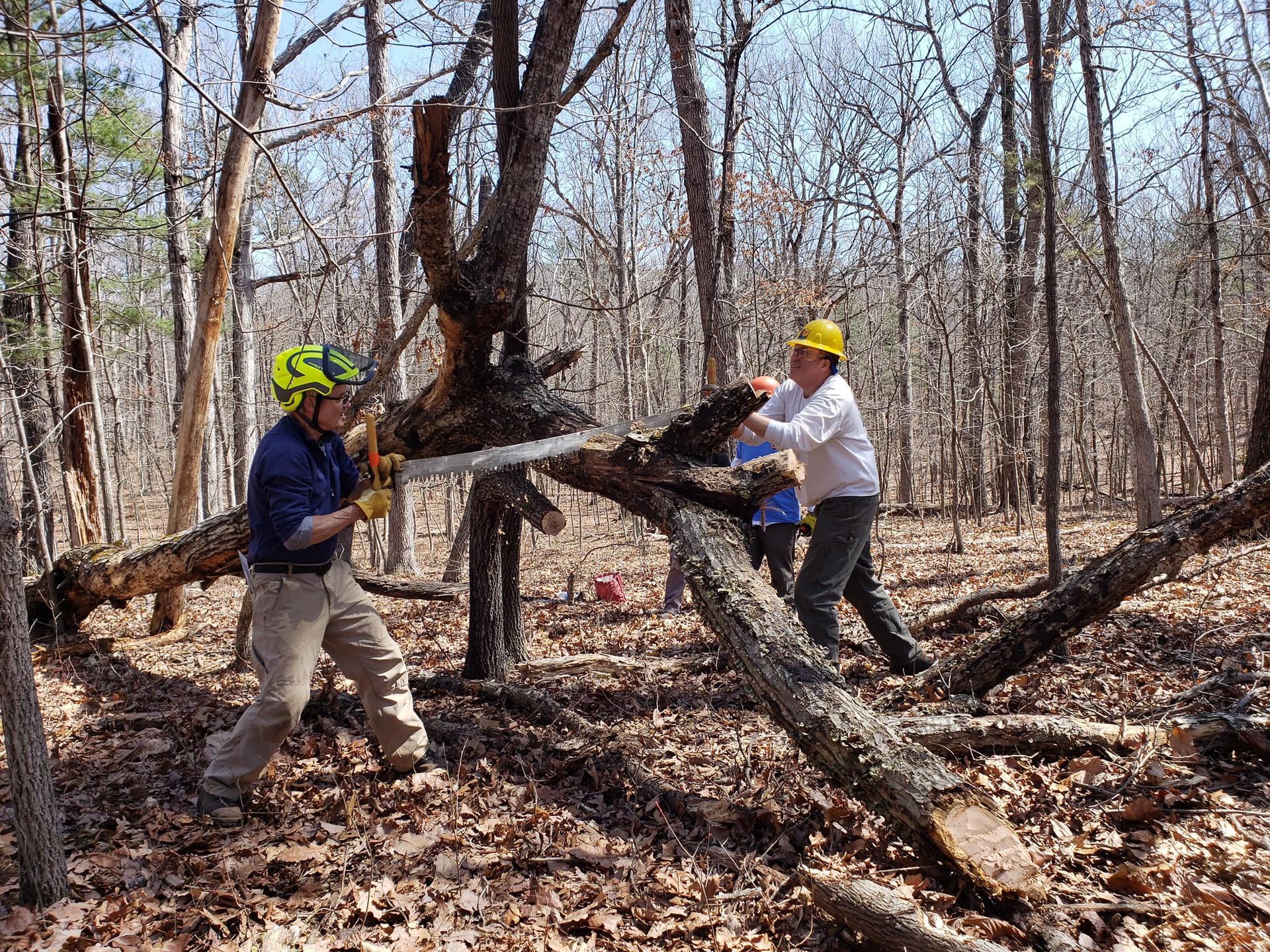 Two PATC volunteers are hand-sawing a fallen tree.