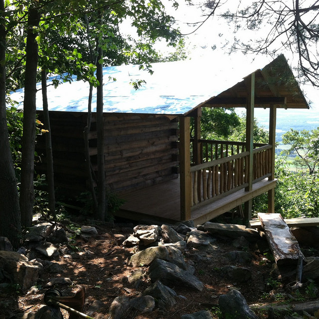 A small cabin with a blue roof sits in the middle of a forest