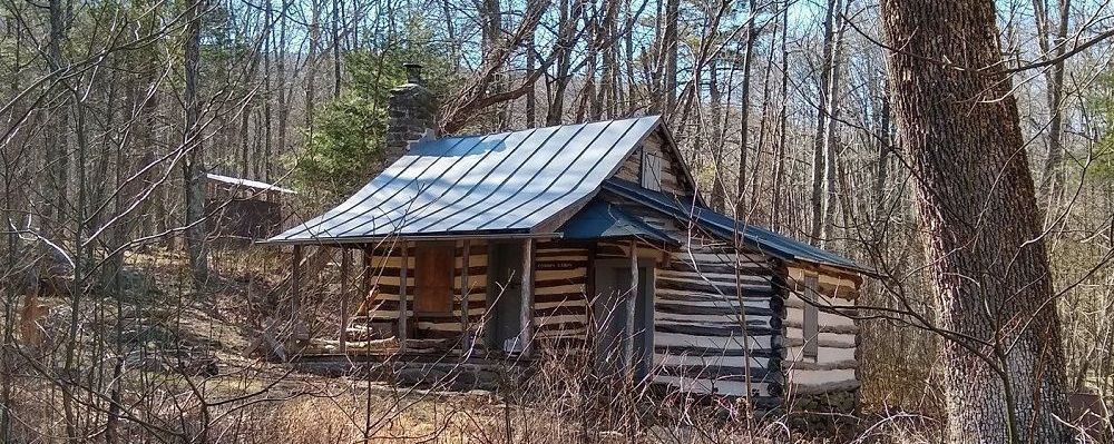 A tan and dark brown wooden cabin with a metal roof, situation in the middle of the forest w