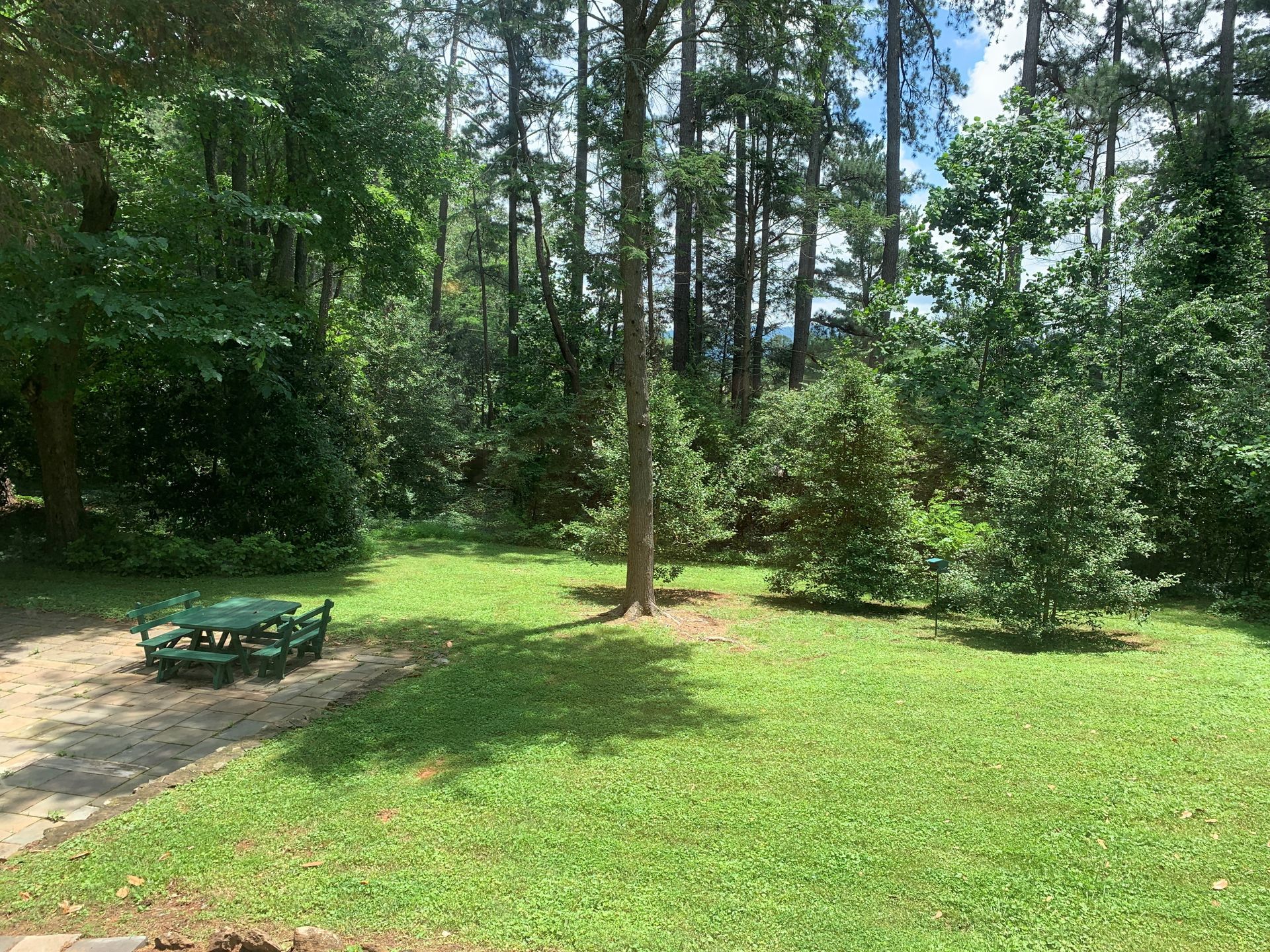 The backyard of Dunlodge cabins shows a large, grassy area with an outdoor seating area.