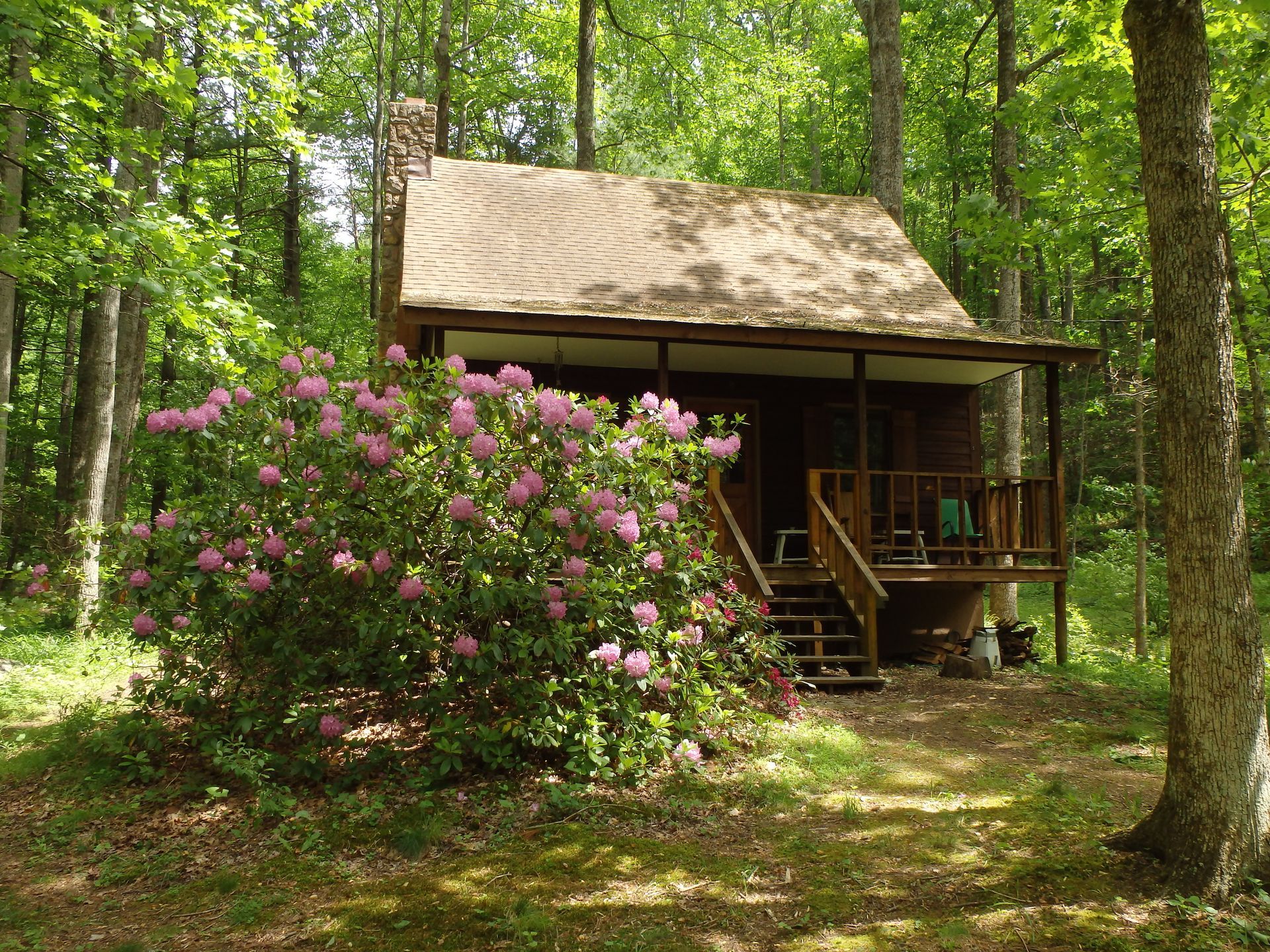 An exterior view of the Huntley cabin featuring flowers and vegetation.