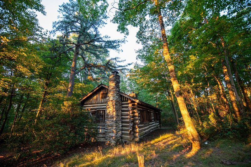 The front view of the Anna-Michener cabin shows a stone chimney and wooden side paneling.