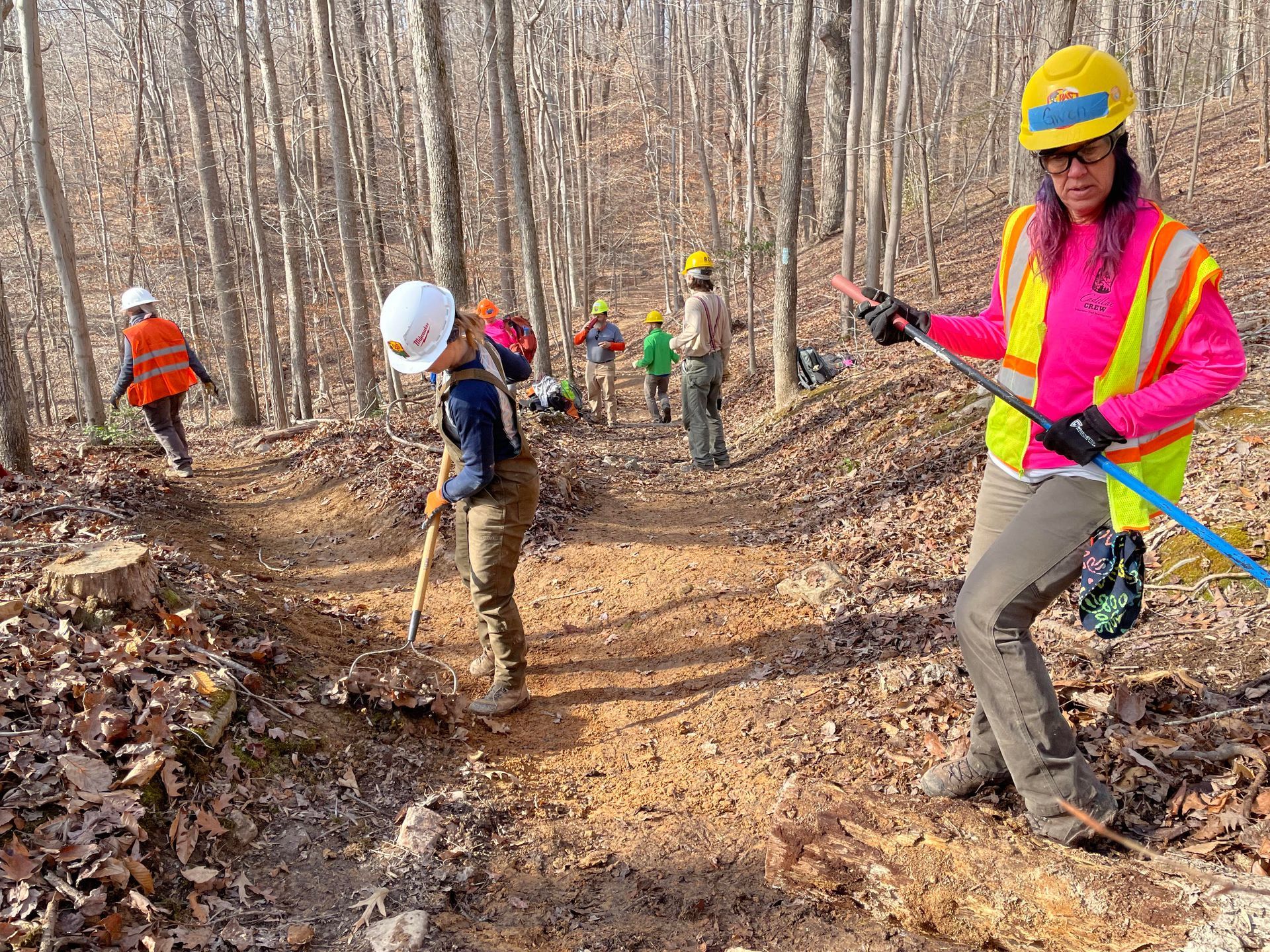 Multiple PATC volunteers, wearing hardhats and vests, using tools to perform trail maintence.