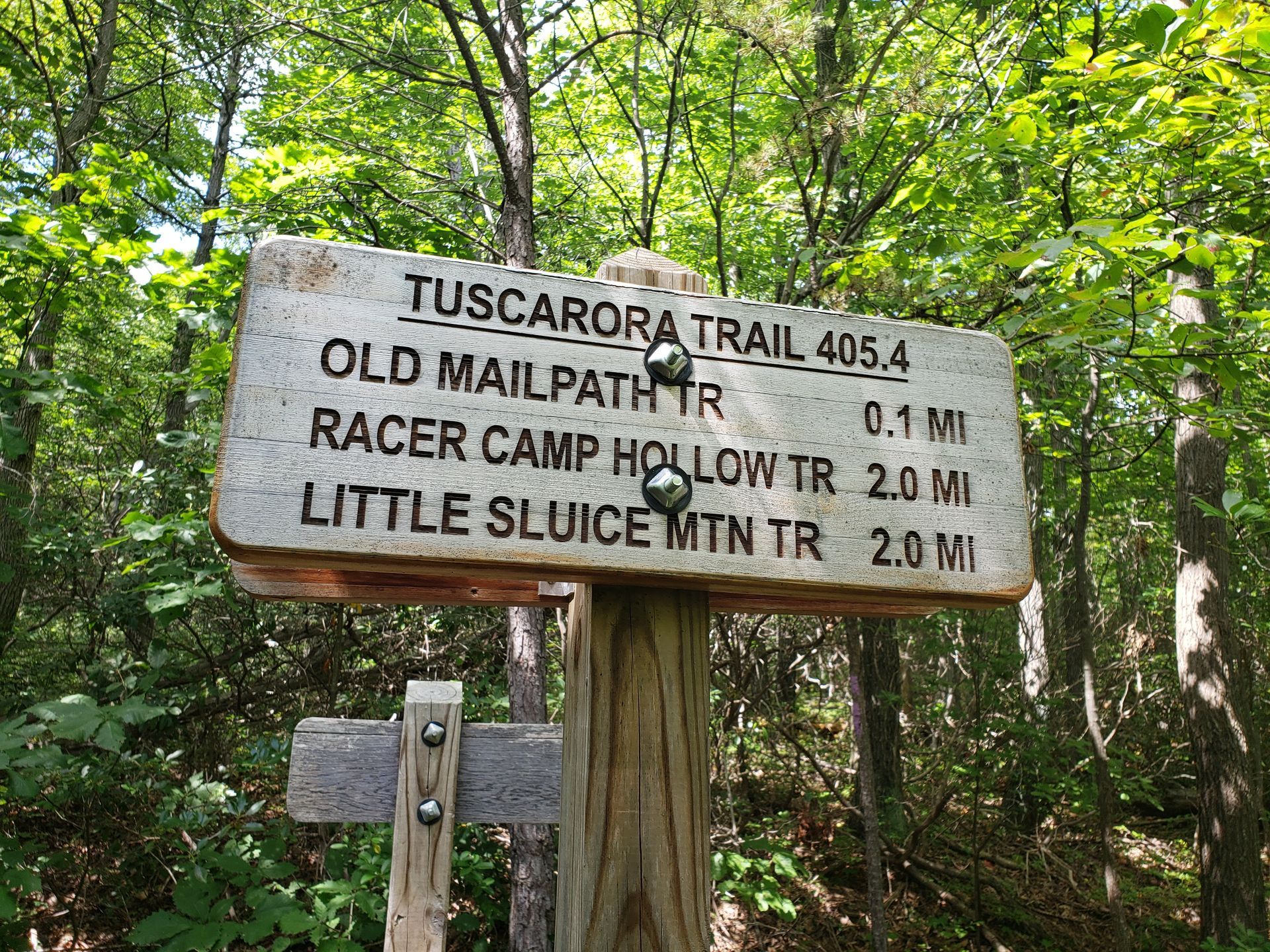 A wooden sign in the middle of a forest says tuscarora trail