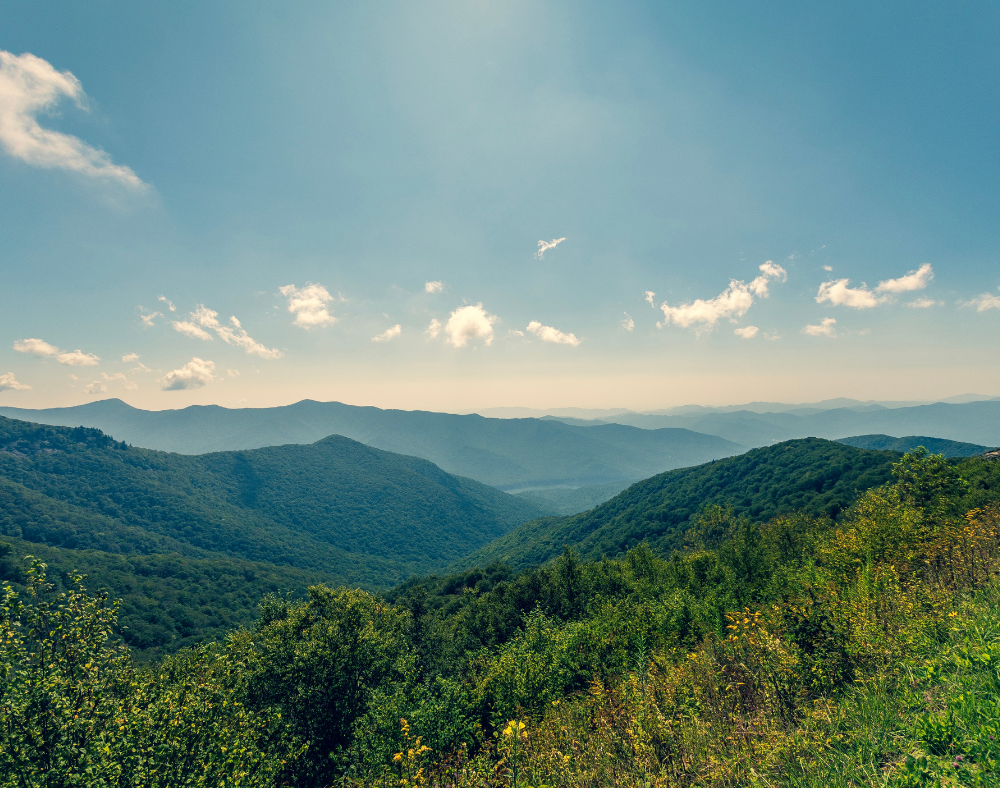 A view of a mountain range with trees and a blue sky