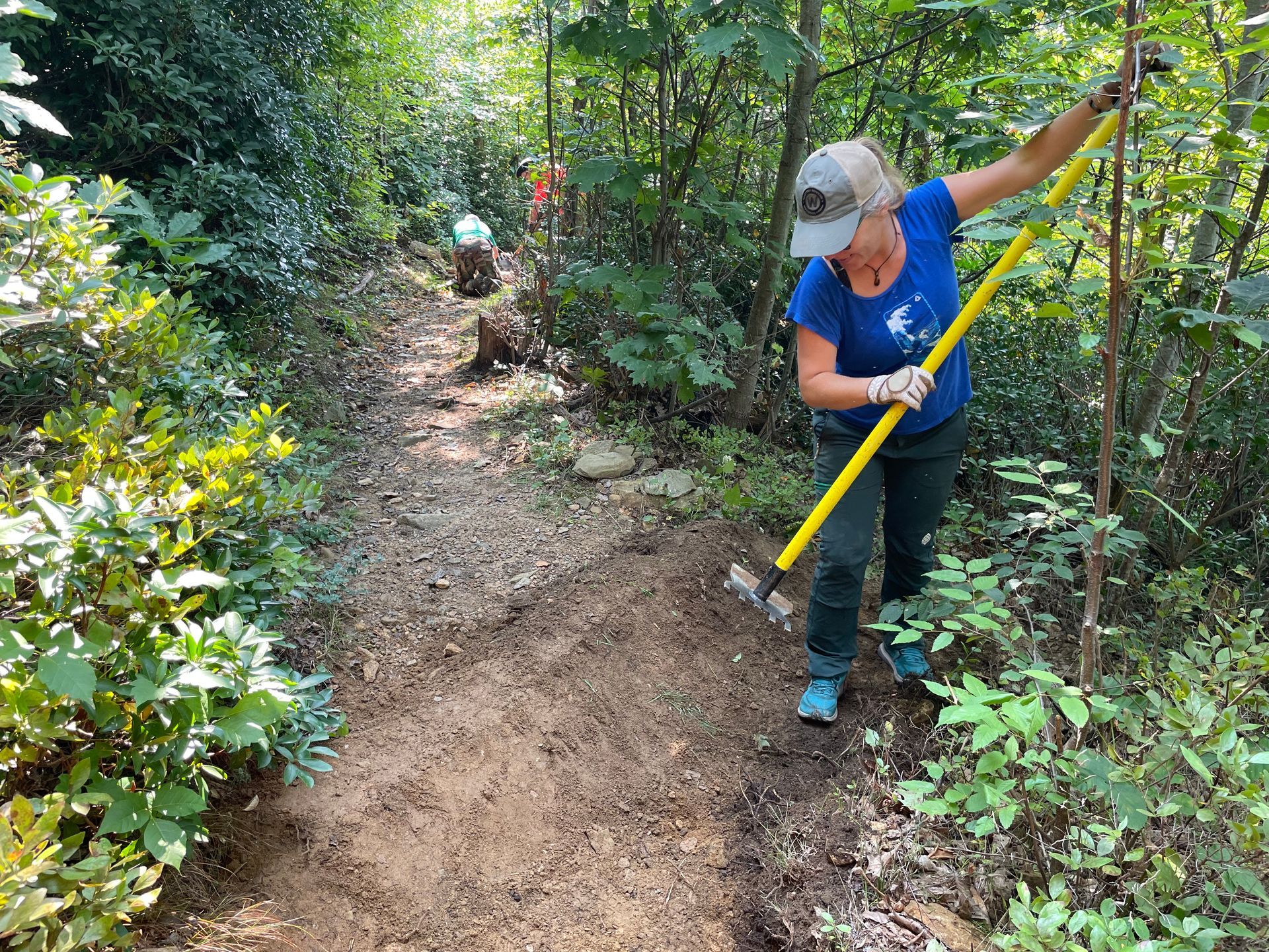 PATC volunteers use tools to perform trail maintenance, in the forest.