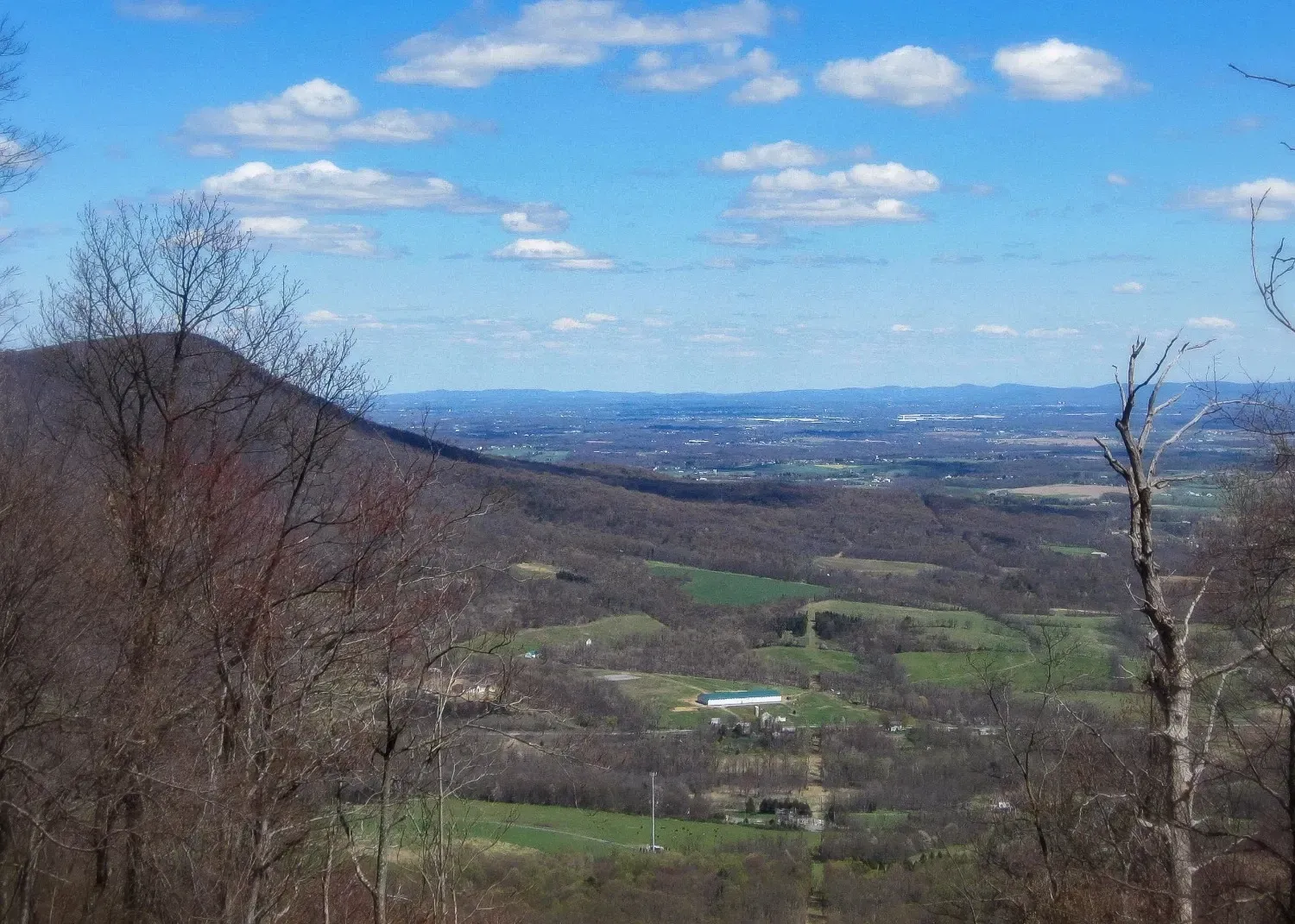 tuscarora forest overlooking fields in winter