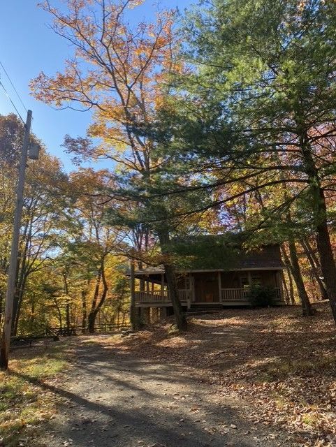 A small house with a porch in the middle of a forest.